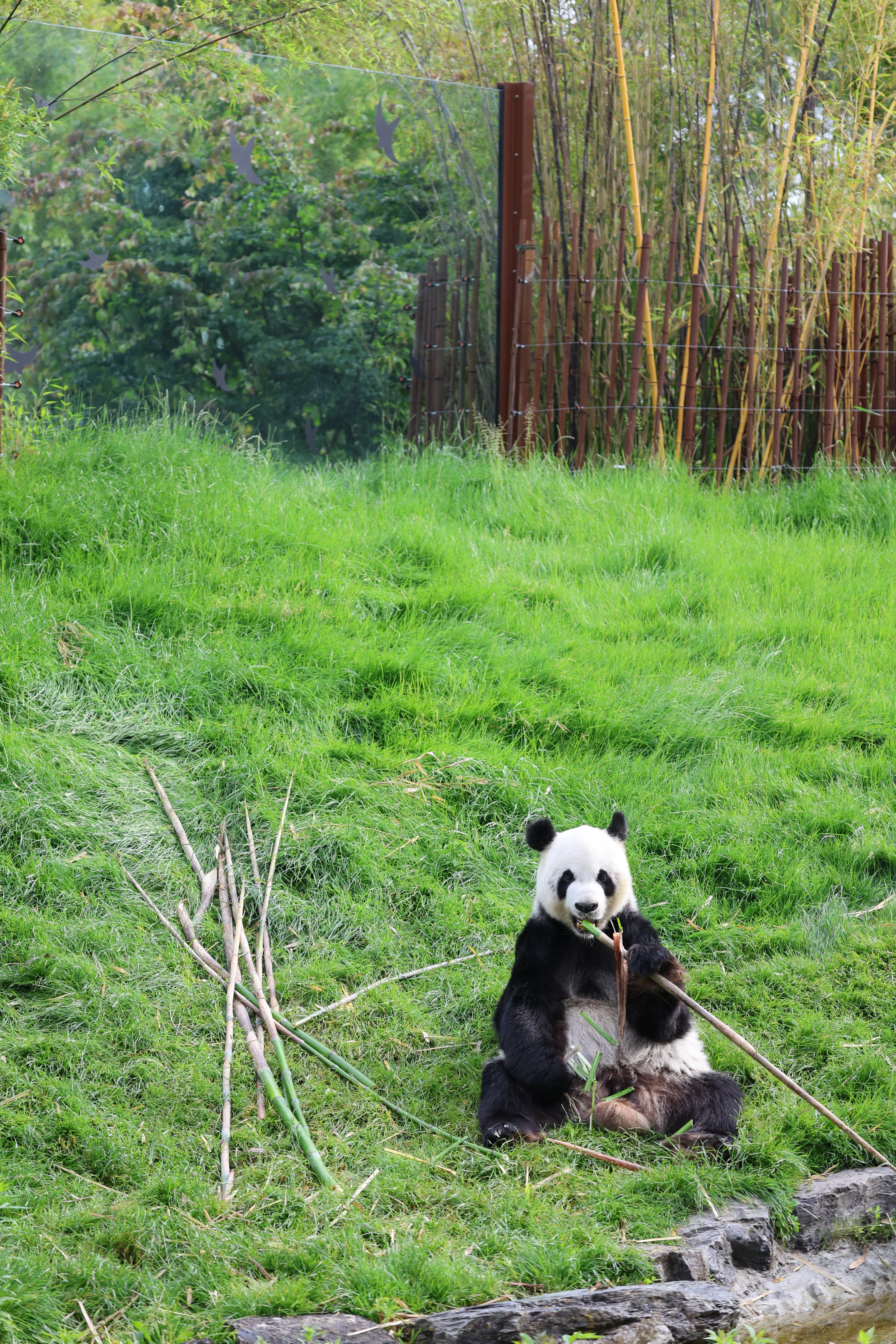 Pairi Daiza