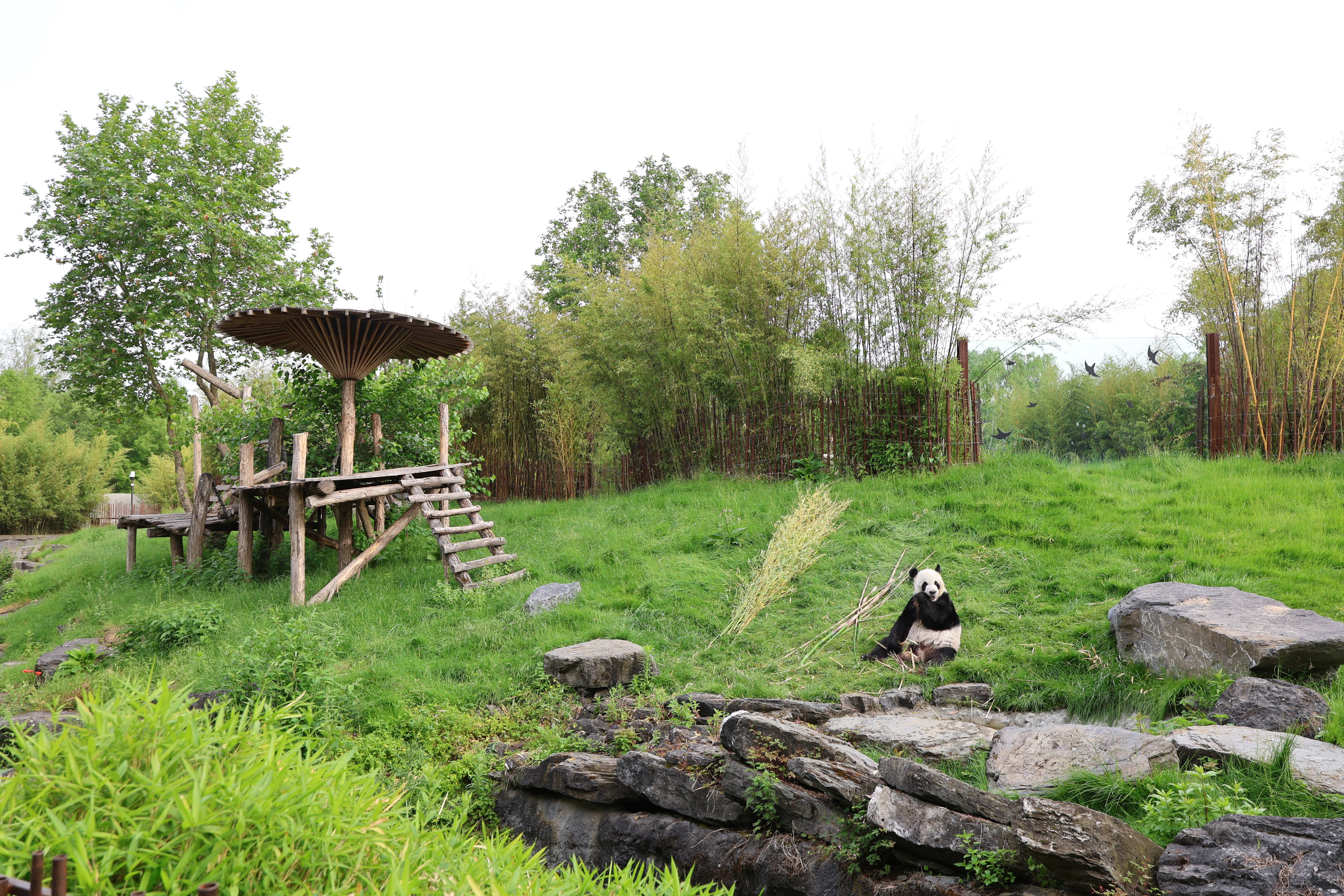 Pairi Daiza