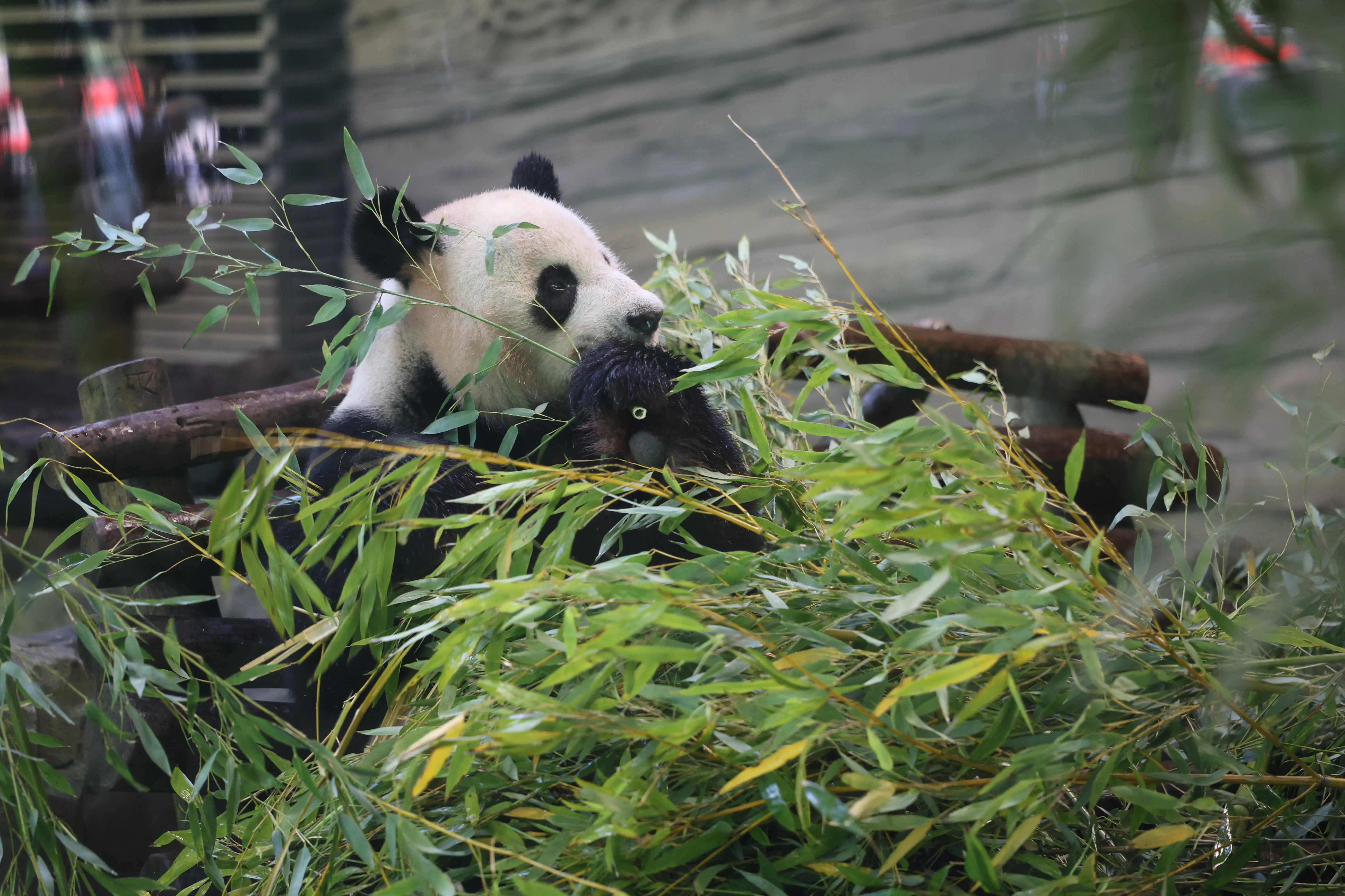 Zoo Berlin