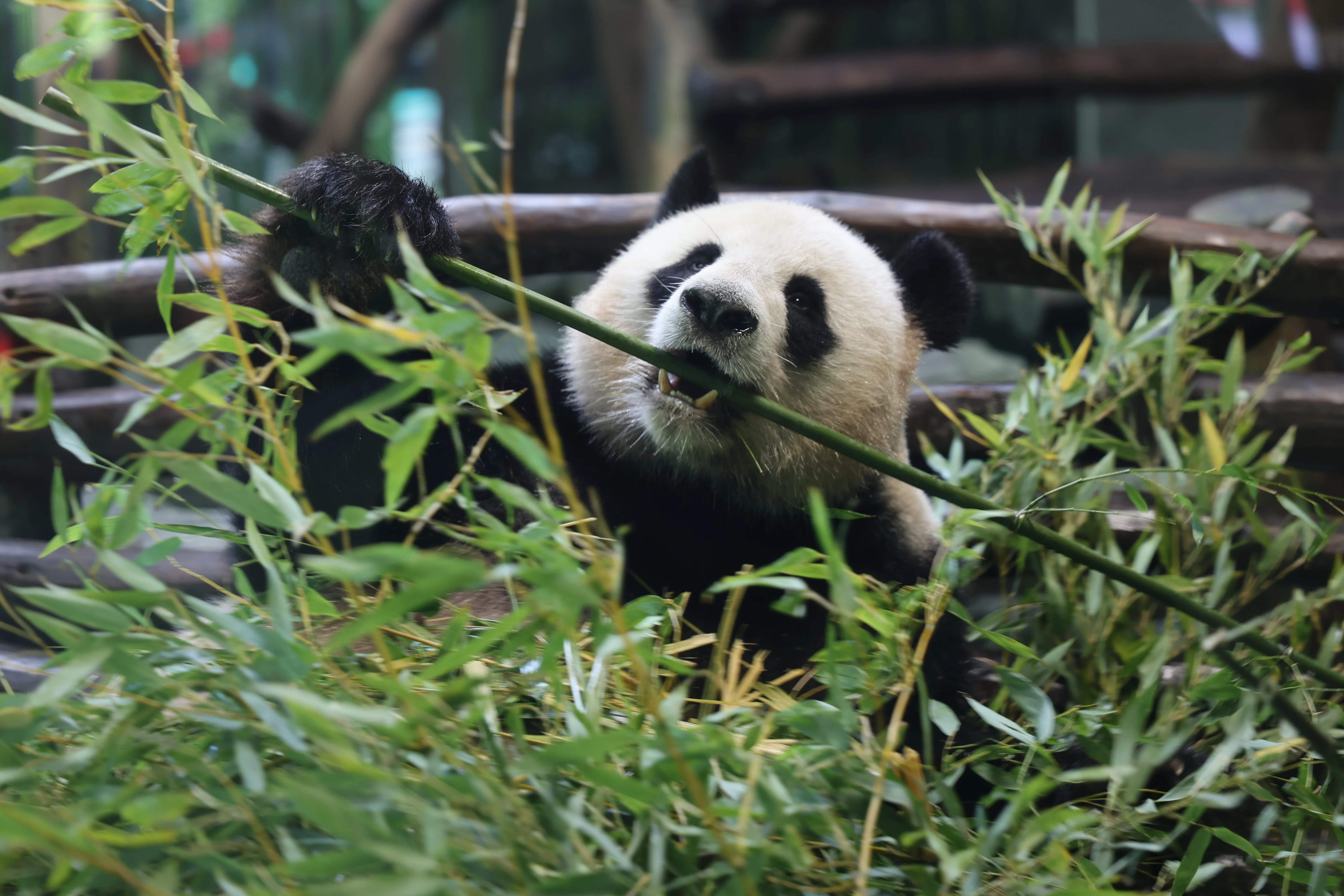 Zoo Berlin