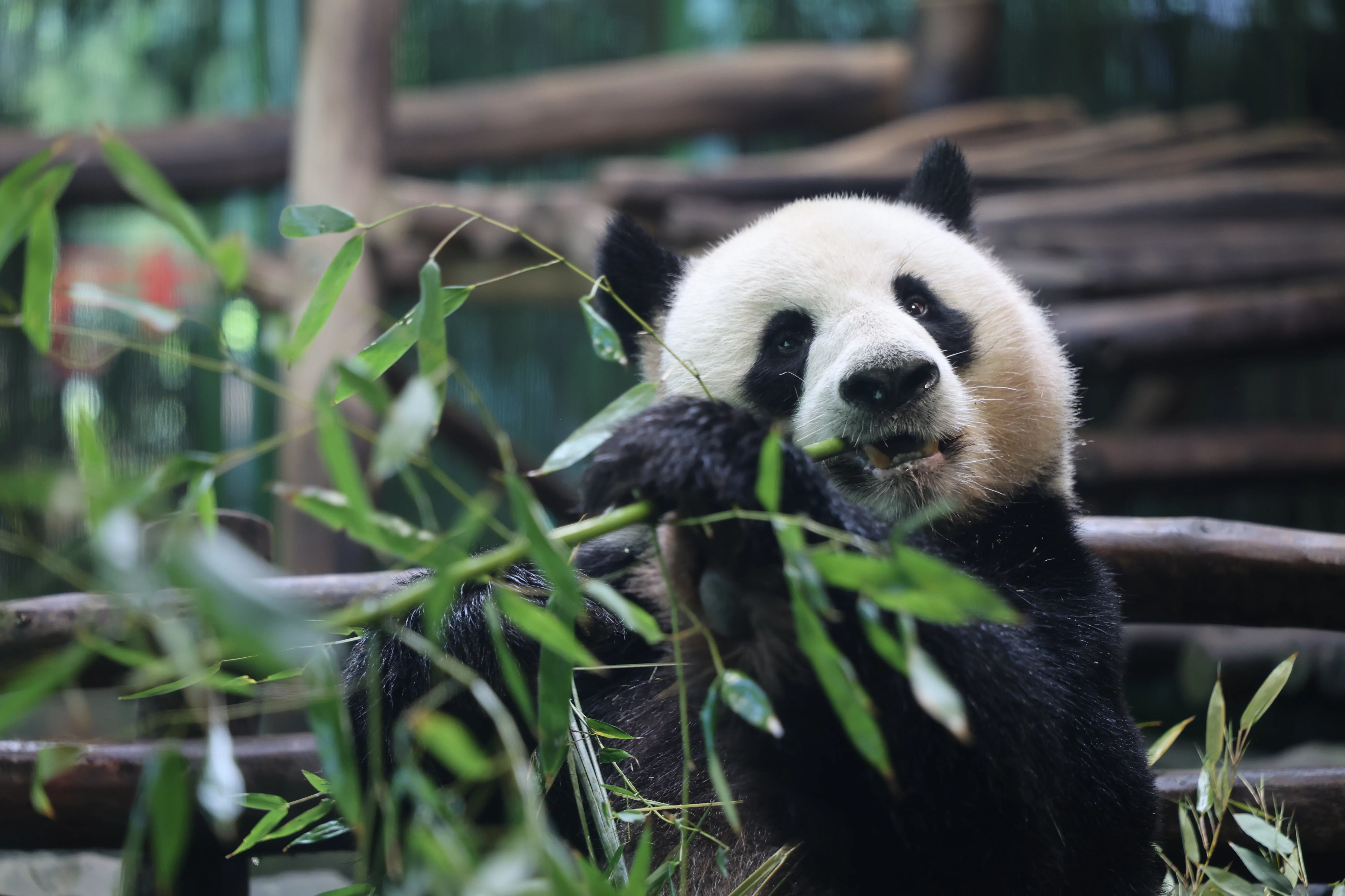 Zoo Berlin