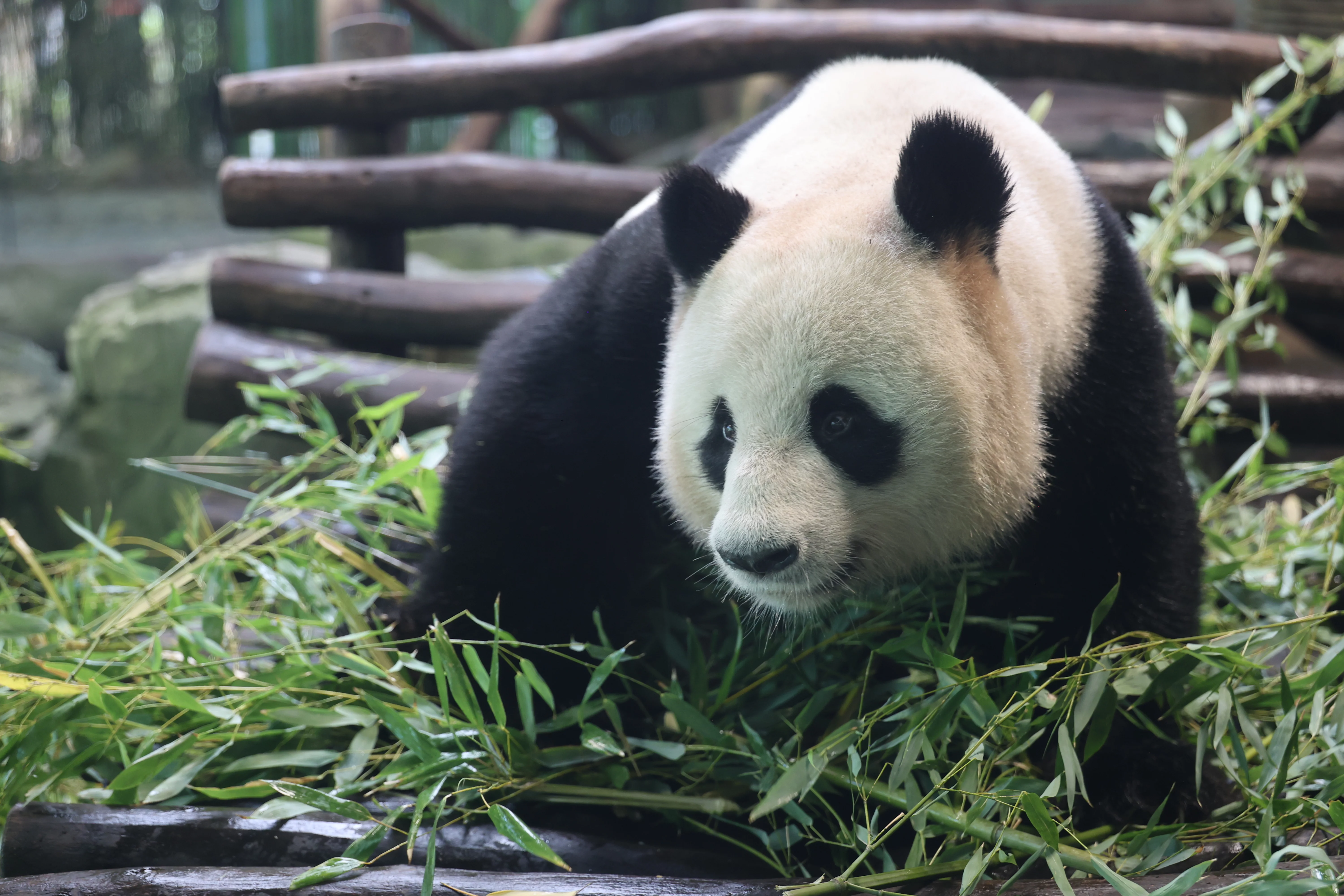 Zoo Berlin