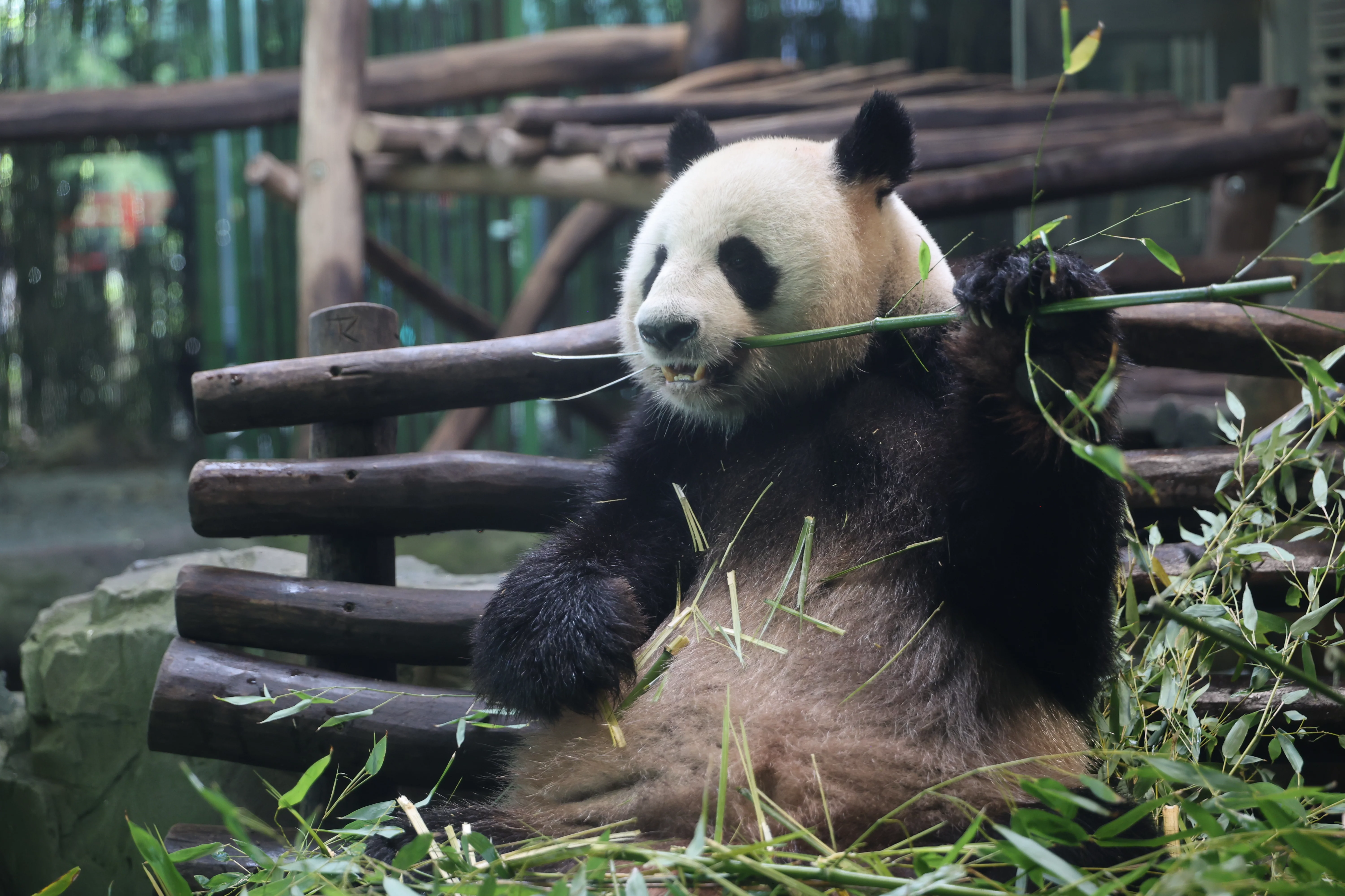 Zoo Berlin