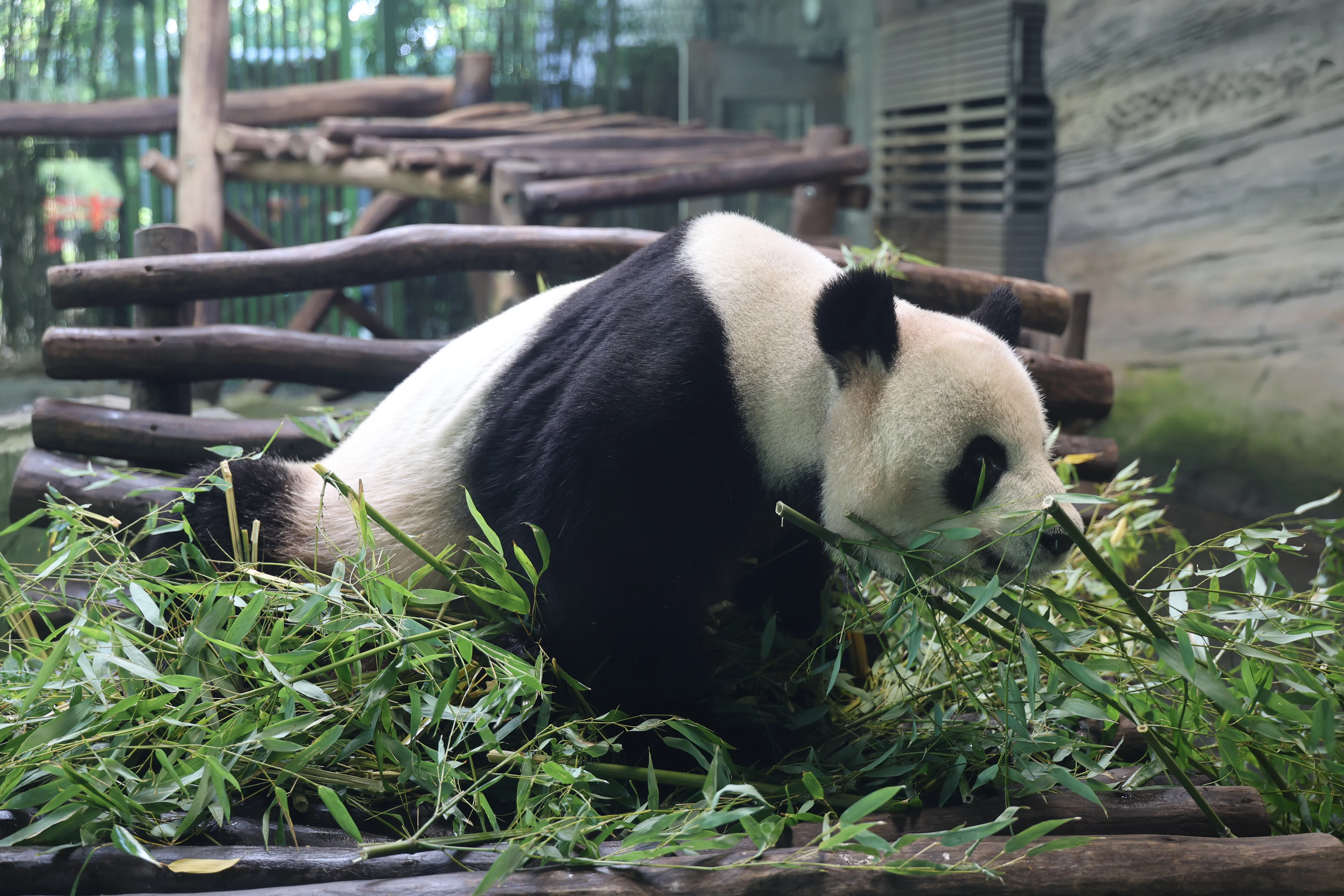 Zoo Berlin
