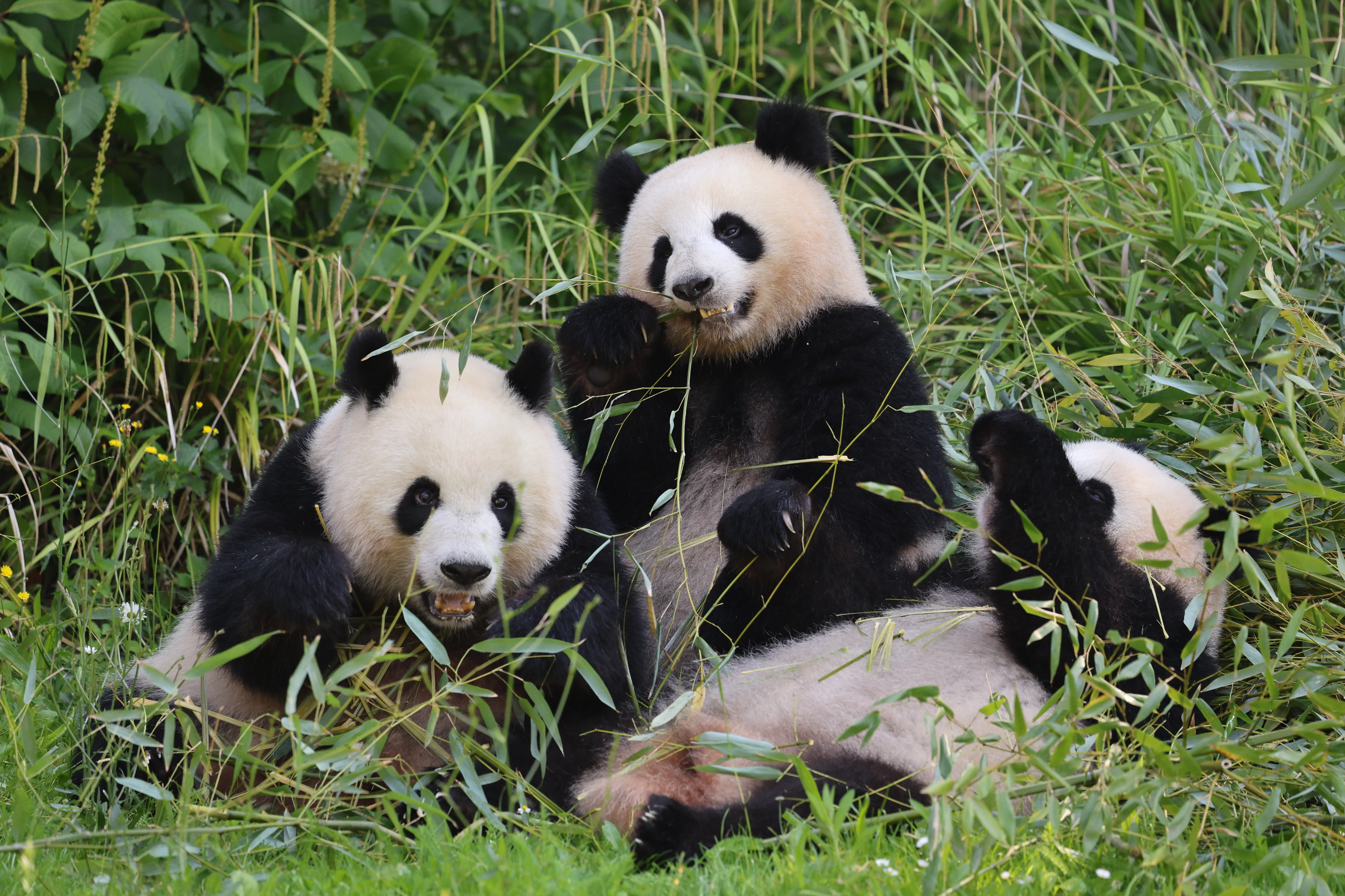 Zoo Berlin