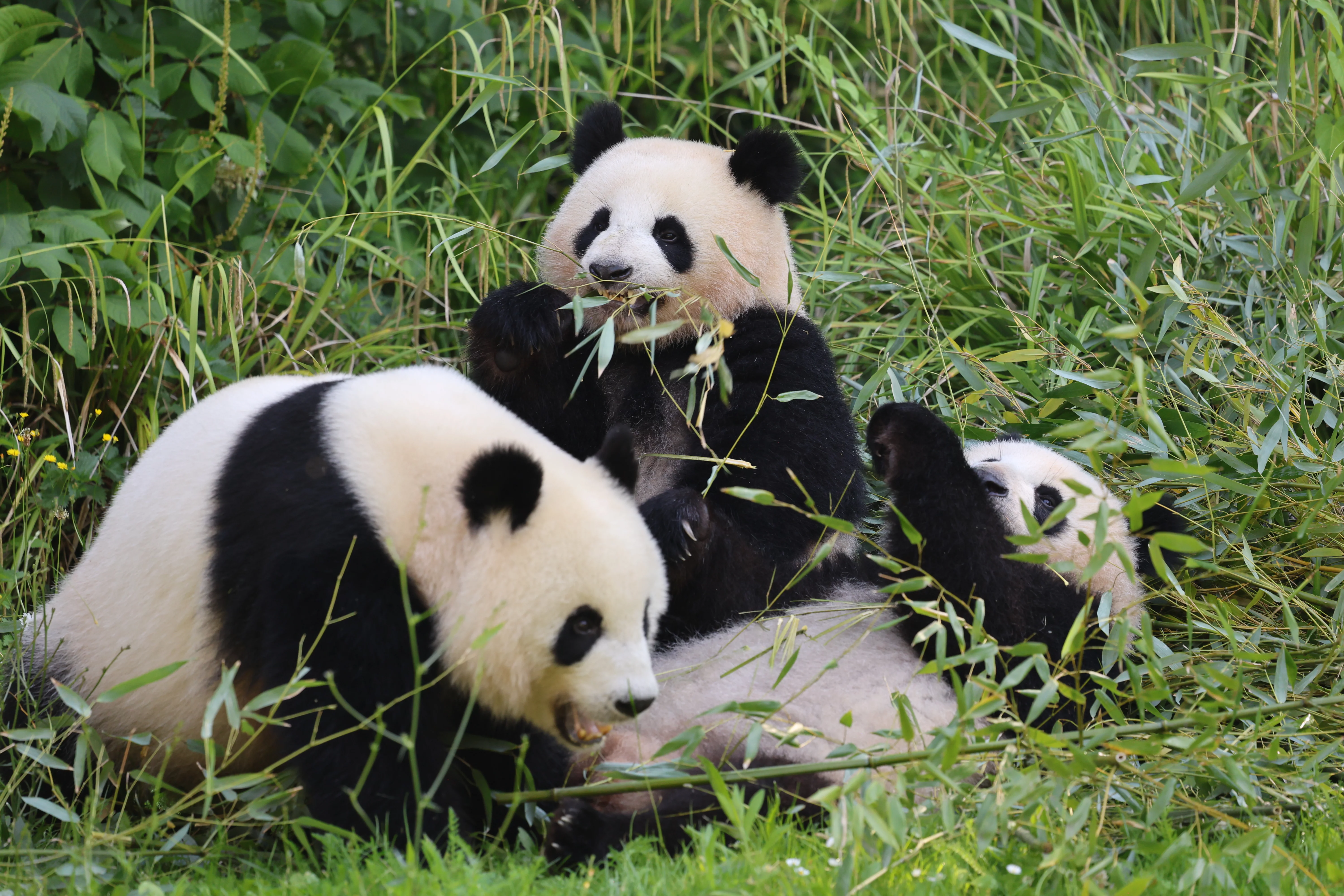 Zoo Berlin