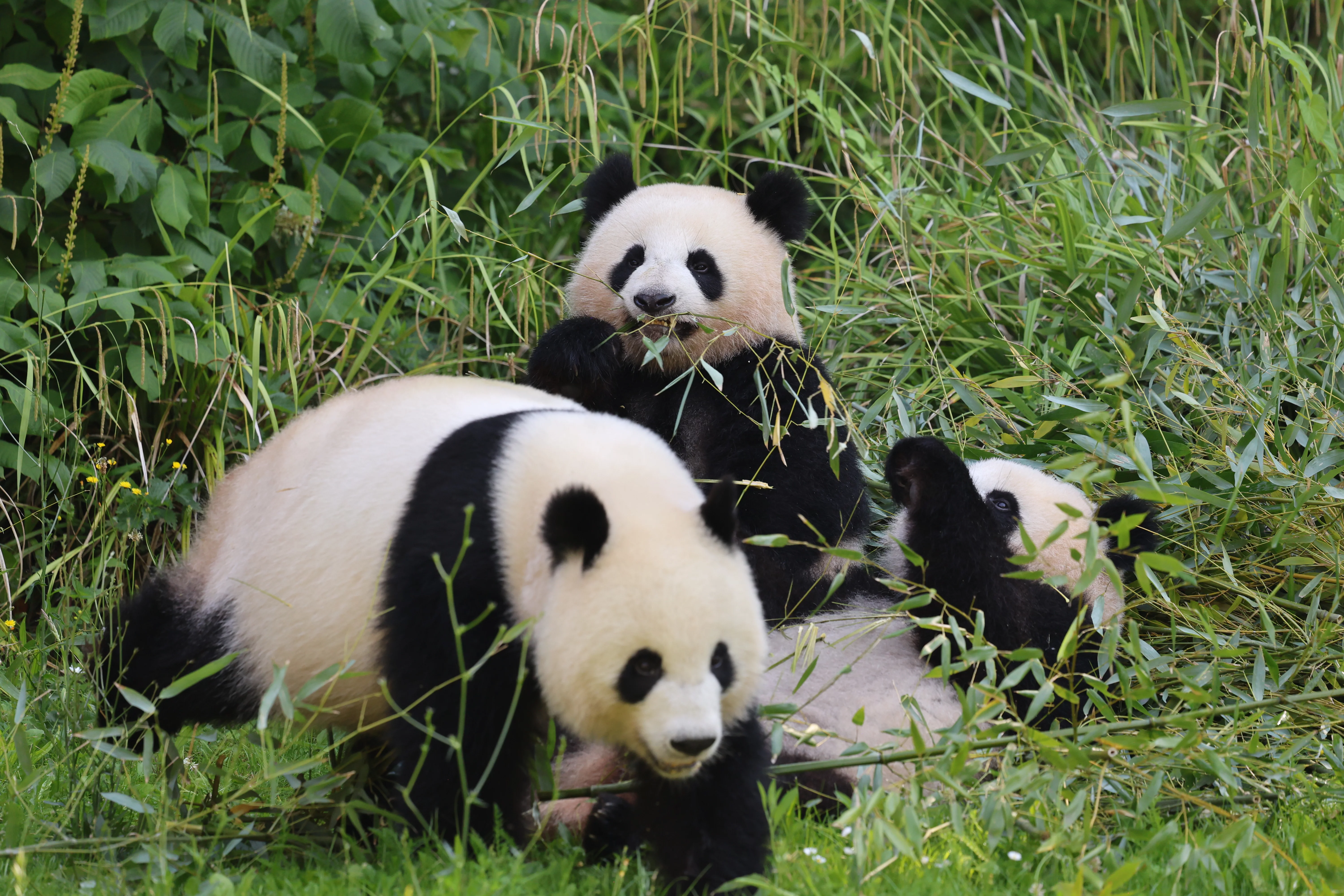 Zoo Berlin