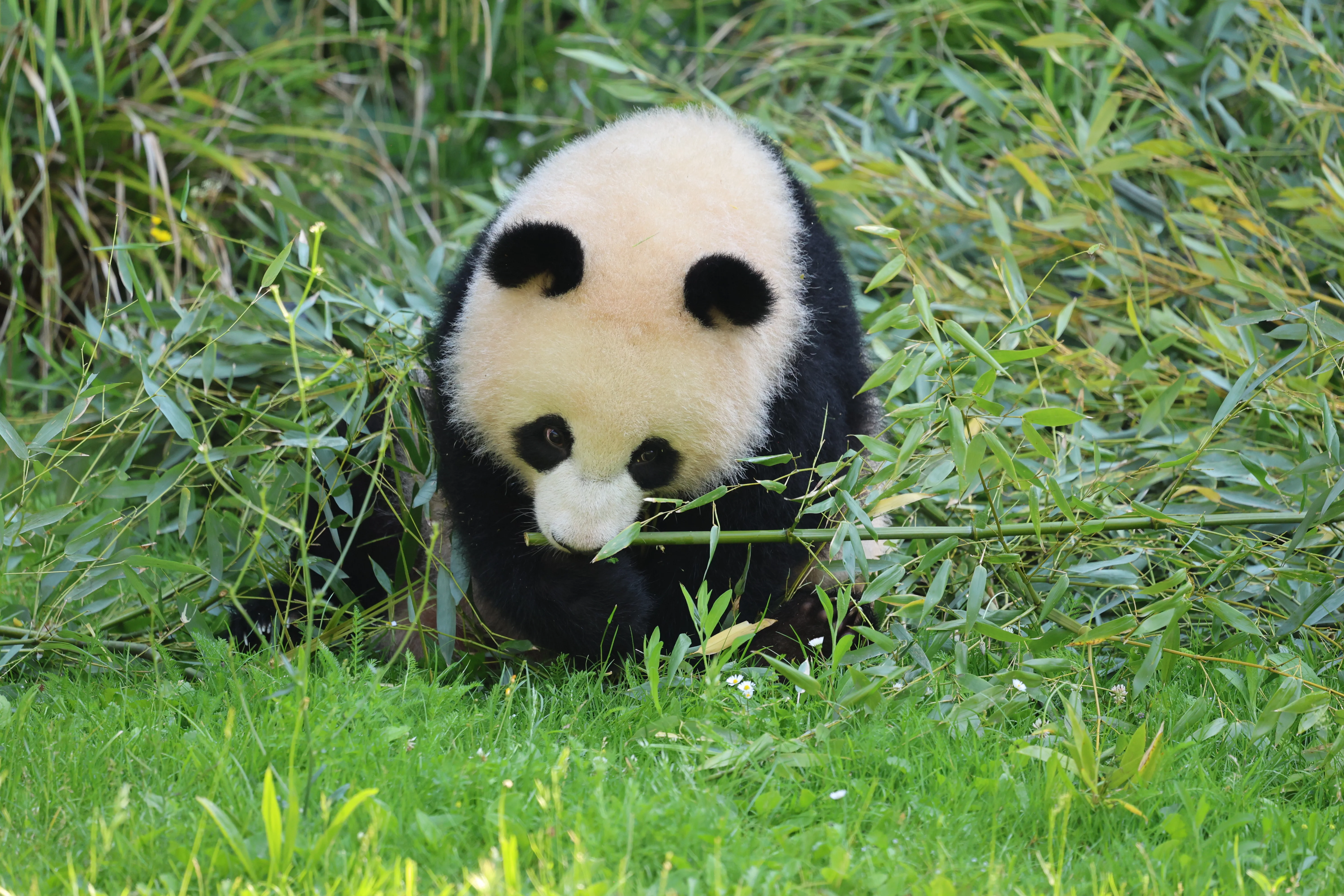 Zoo Berlin