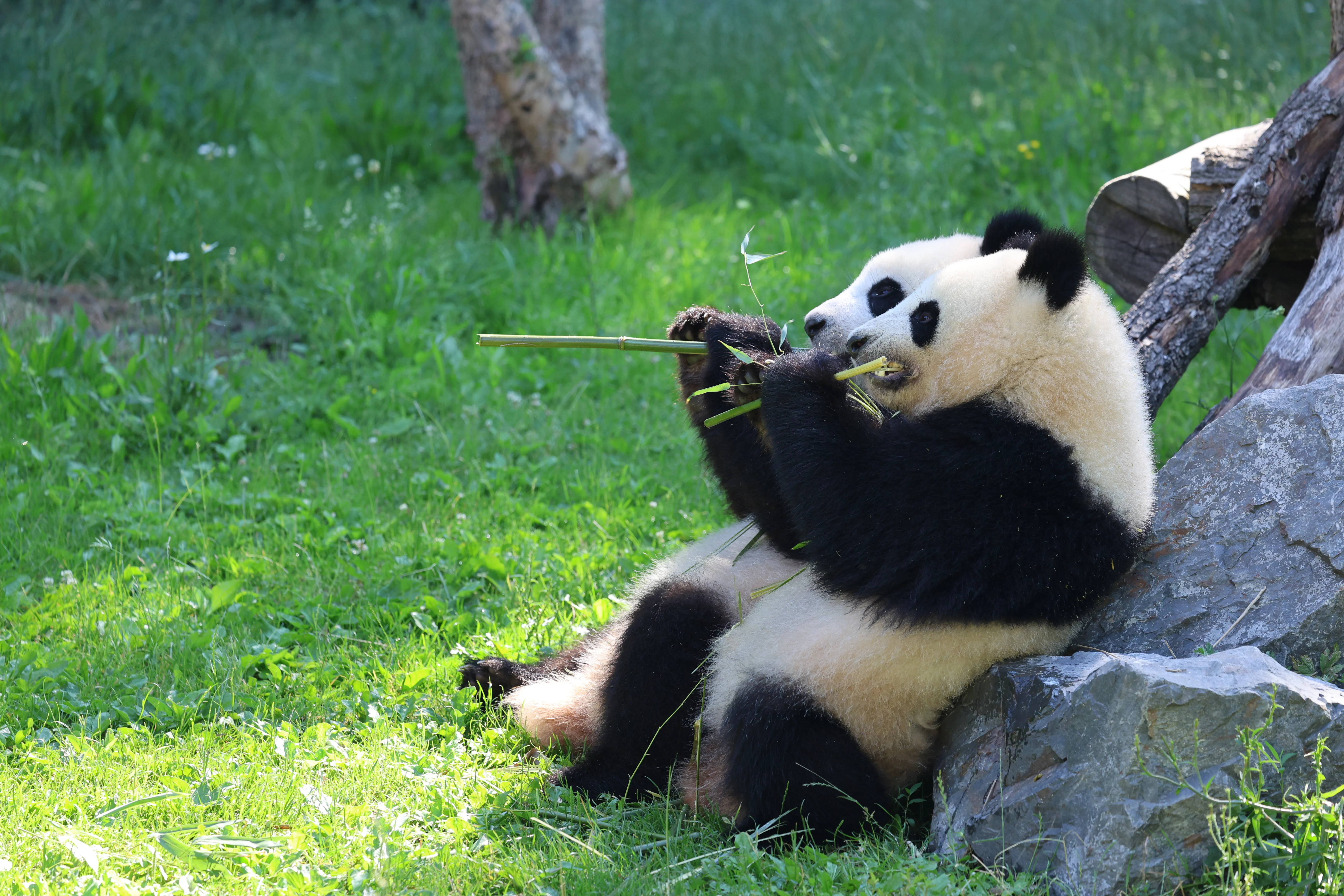 Zoo Berlin