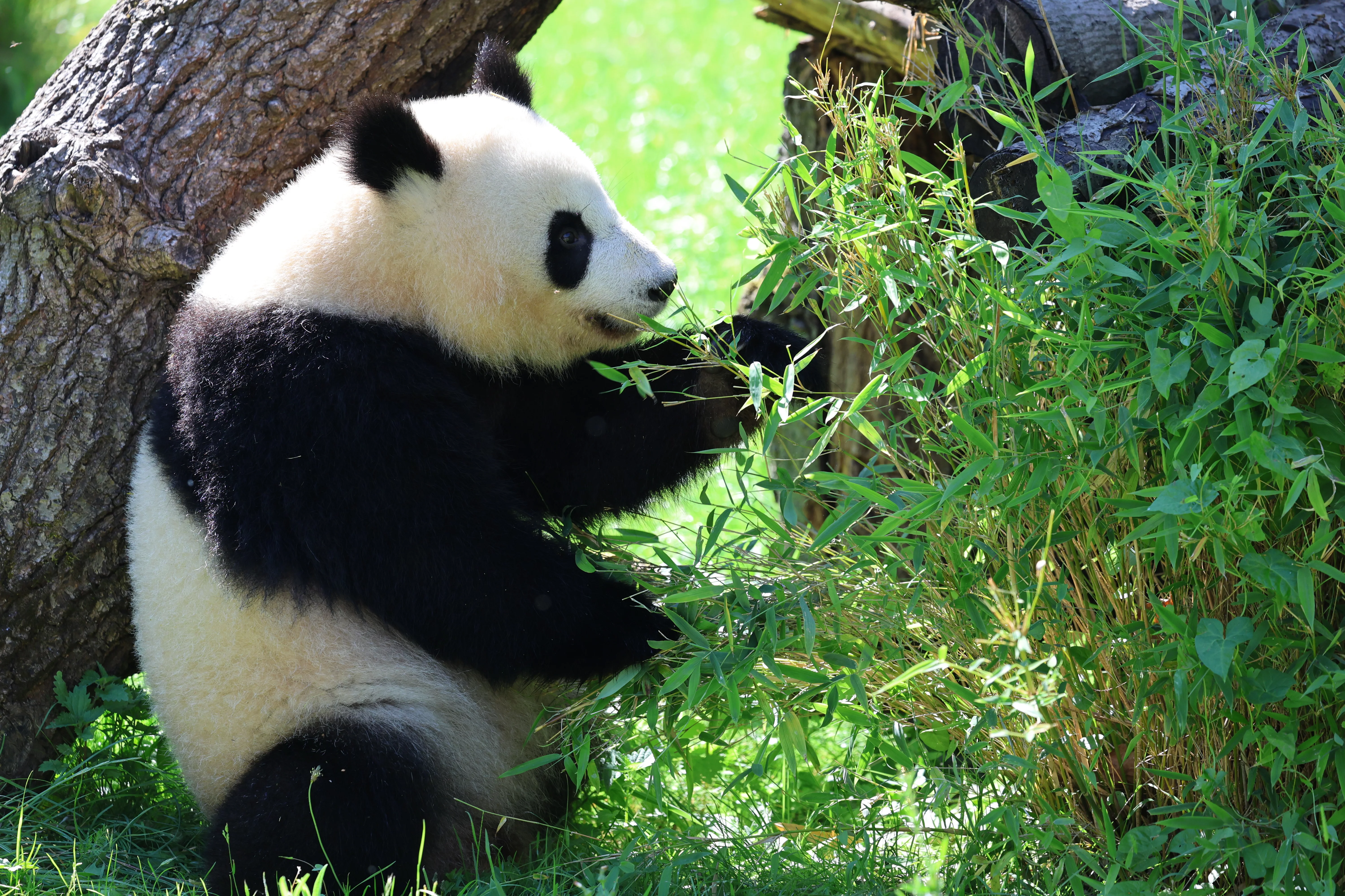 Zoo Berlin