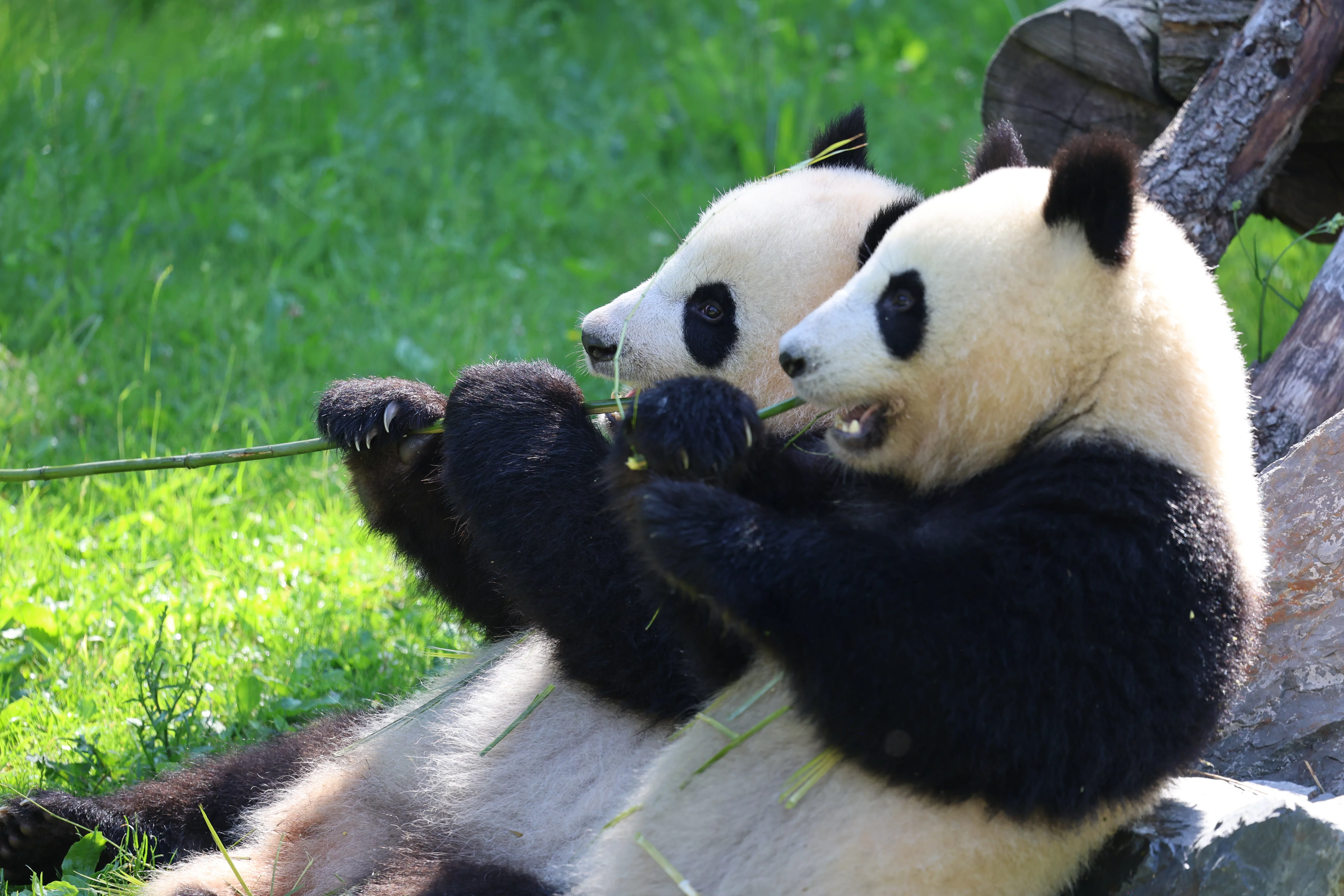 Zoo Berlin
