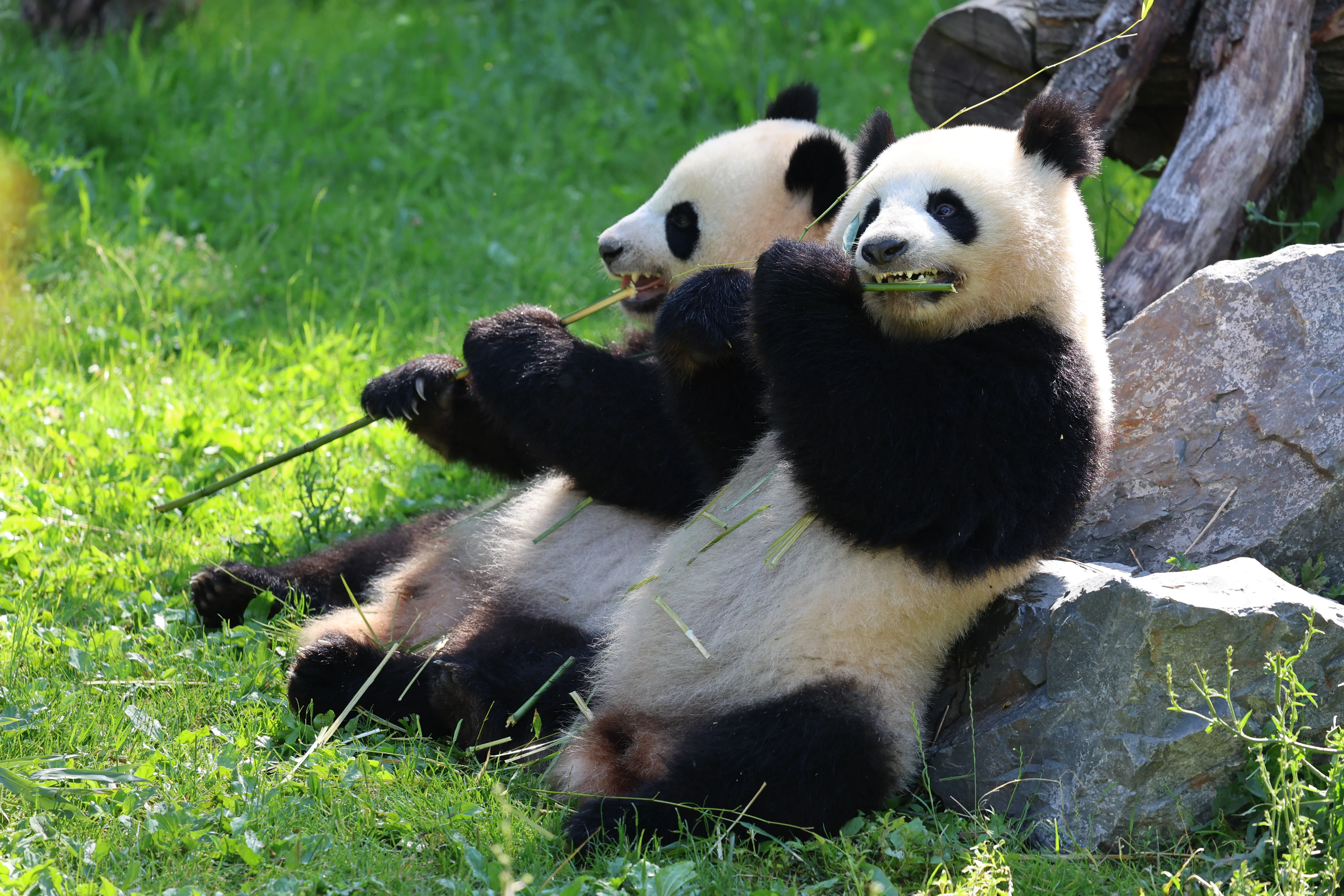 Zoo Berlin