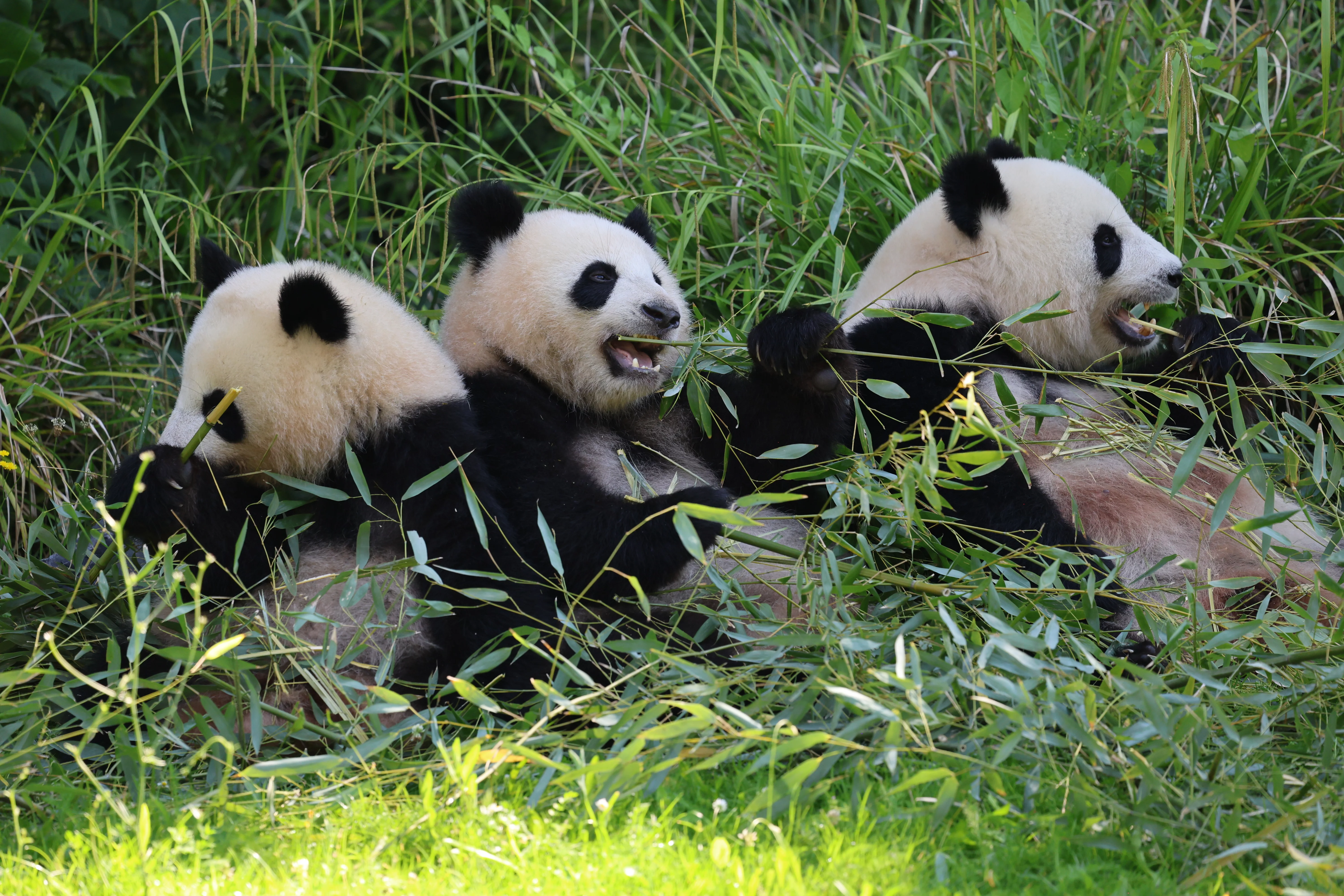 Zoo Berlin