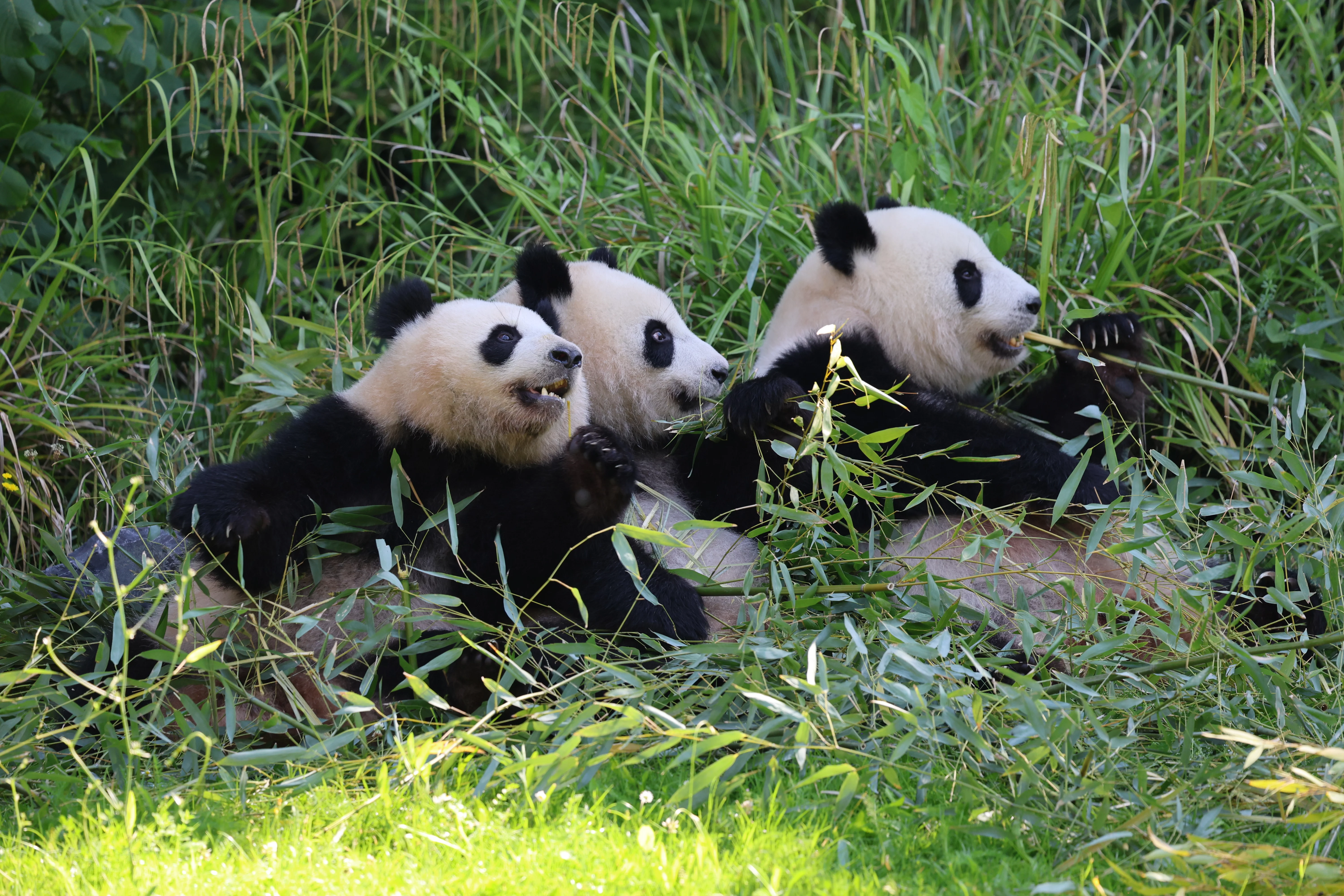 Zoo Berlin