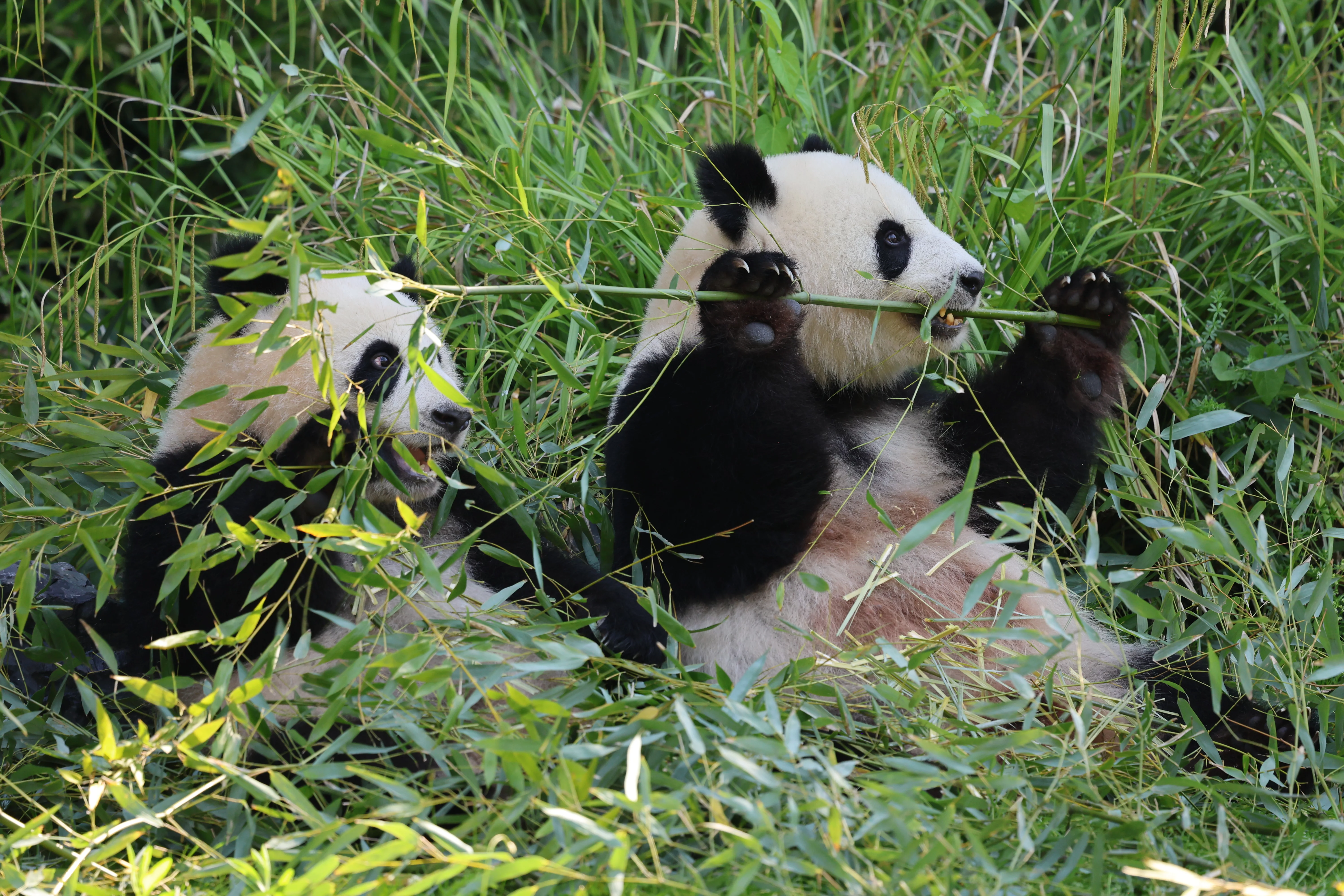 Zoo Berlin