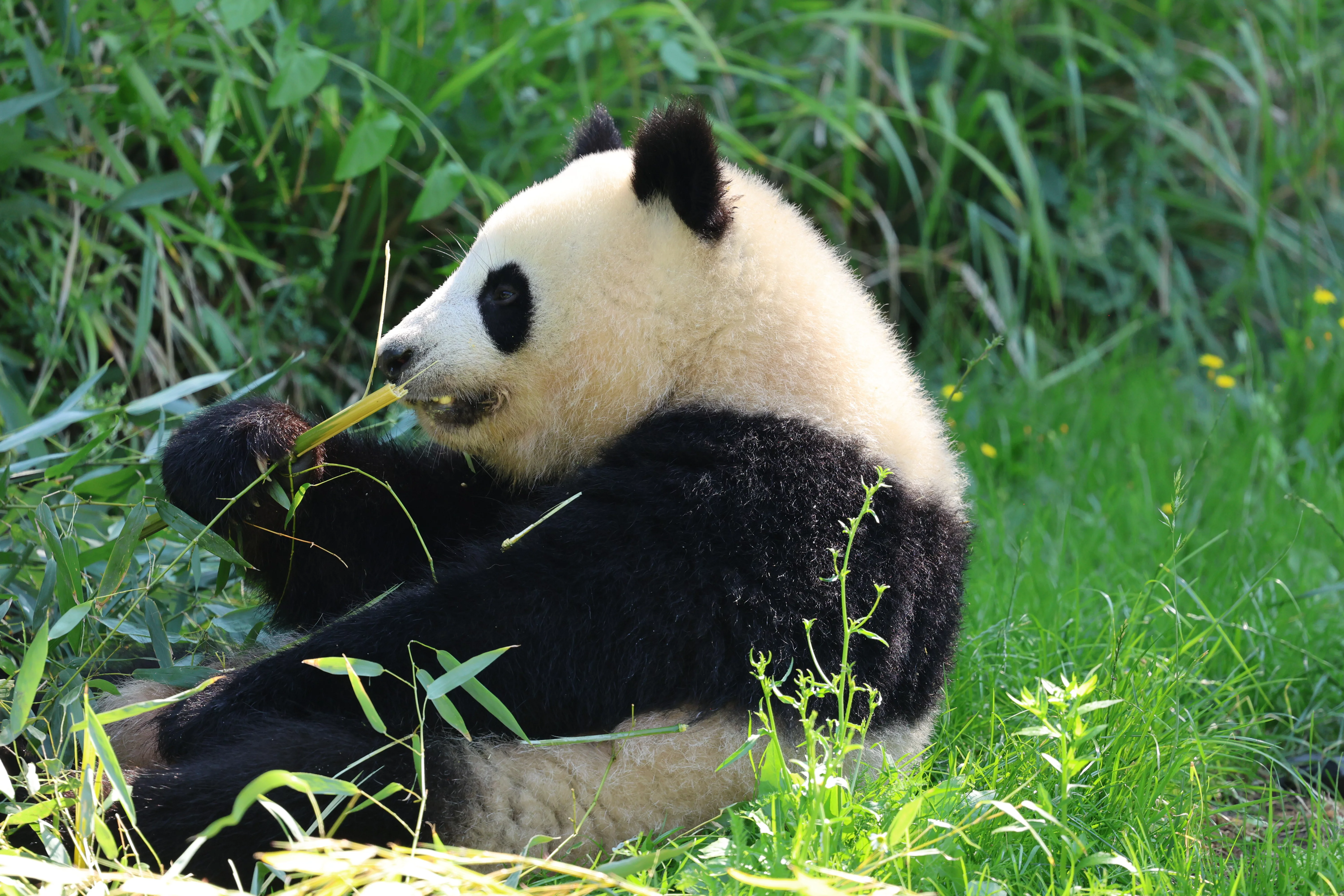Zoo Berlin