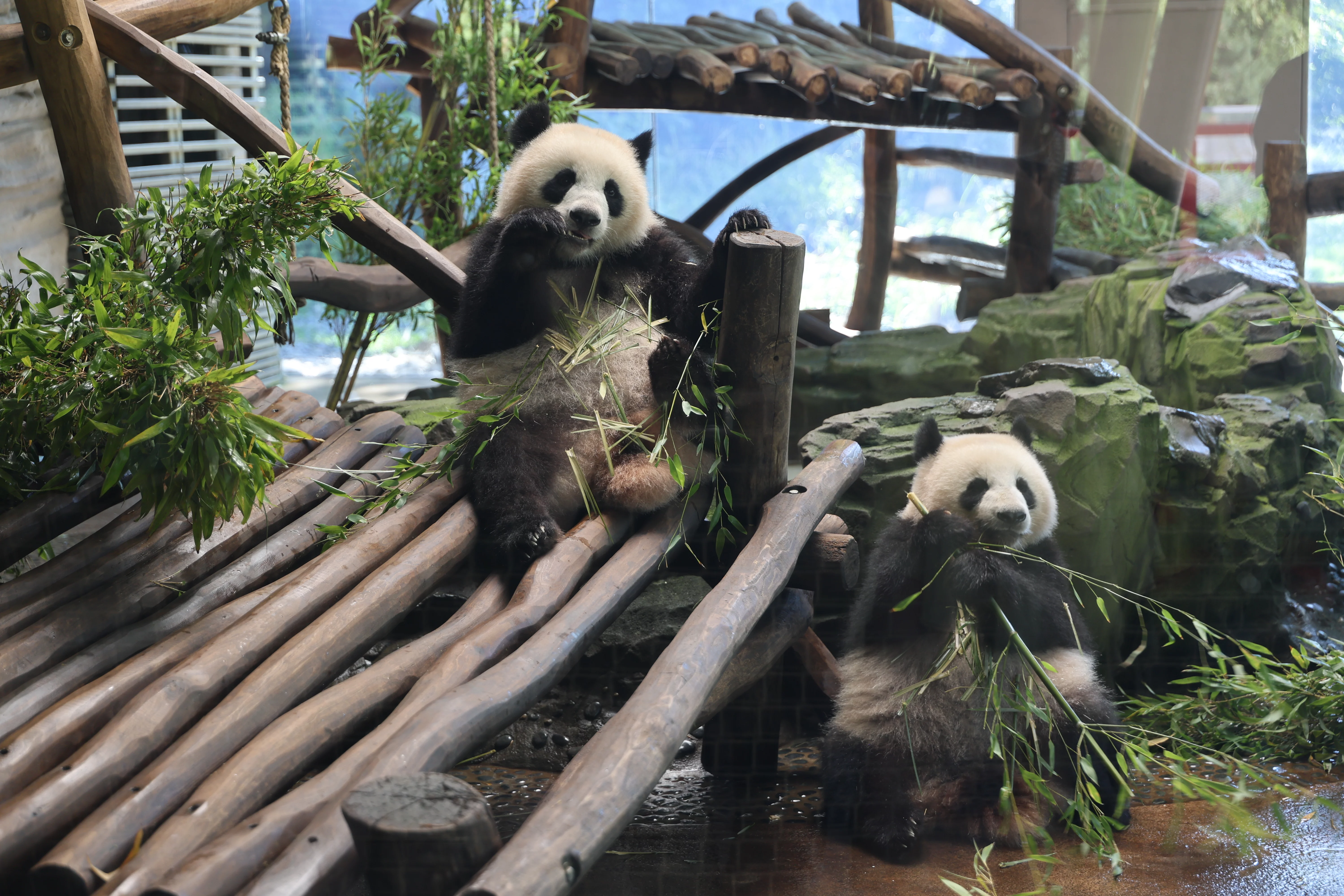Zoo Berlin