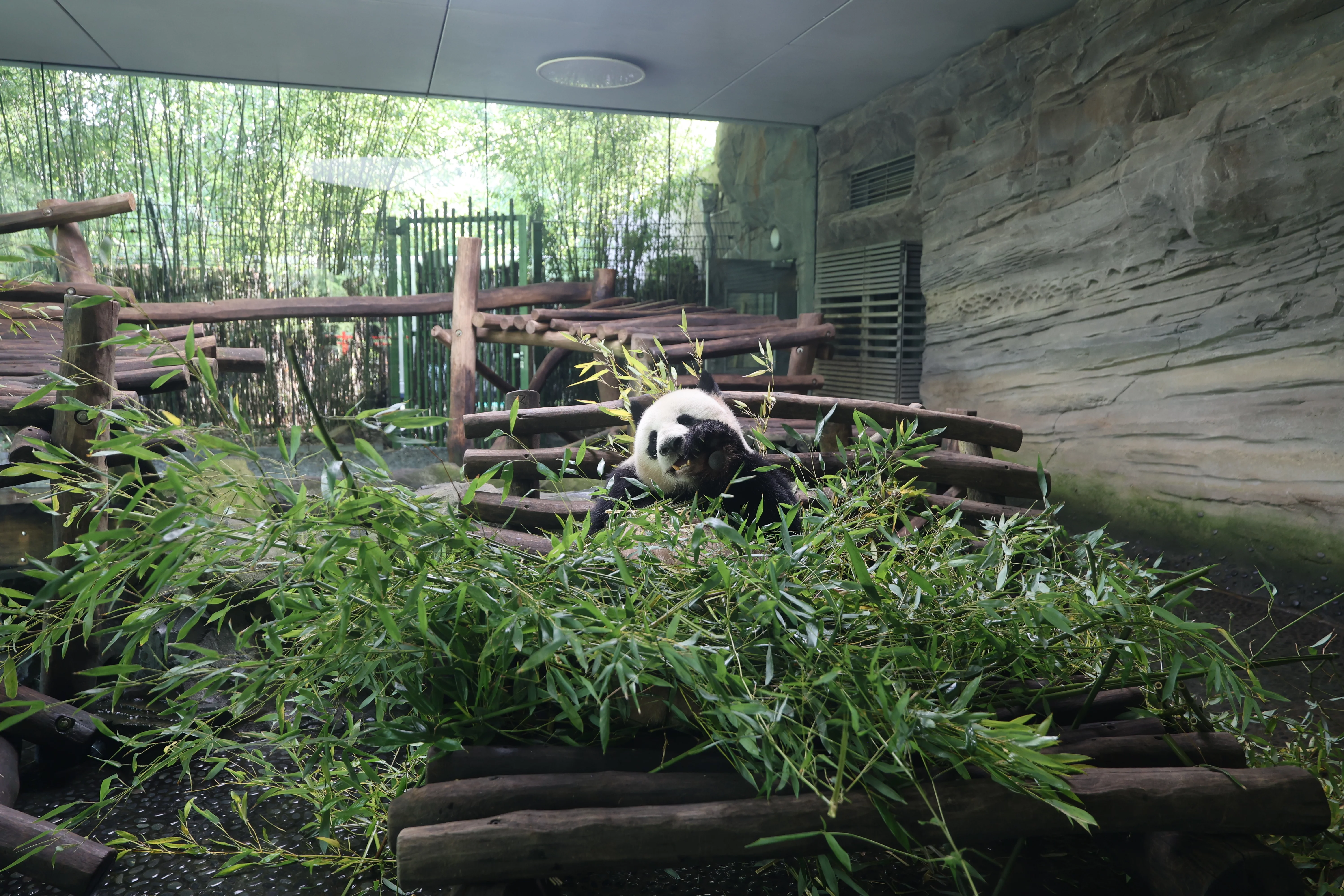 Zoo Berlin