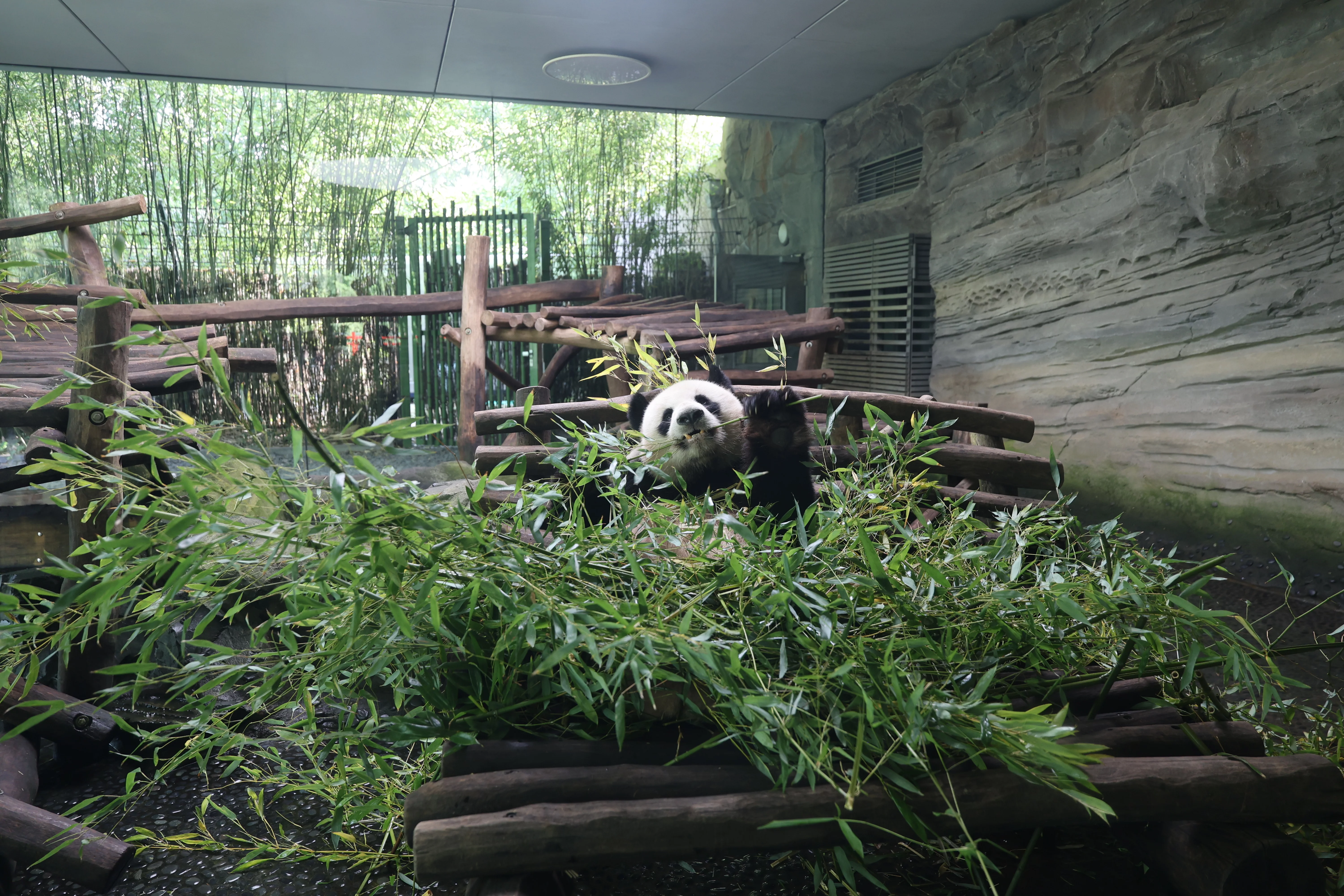 Zoo Berlin