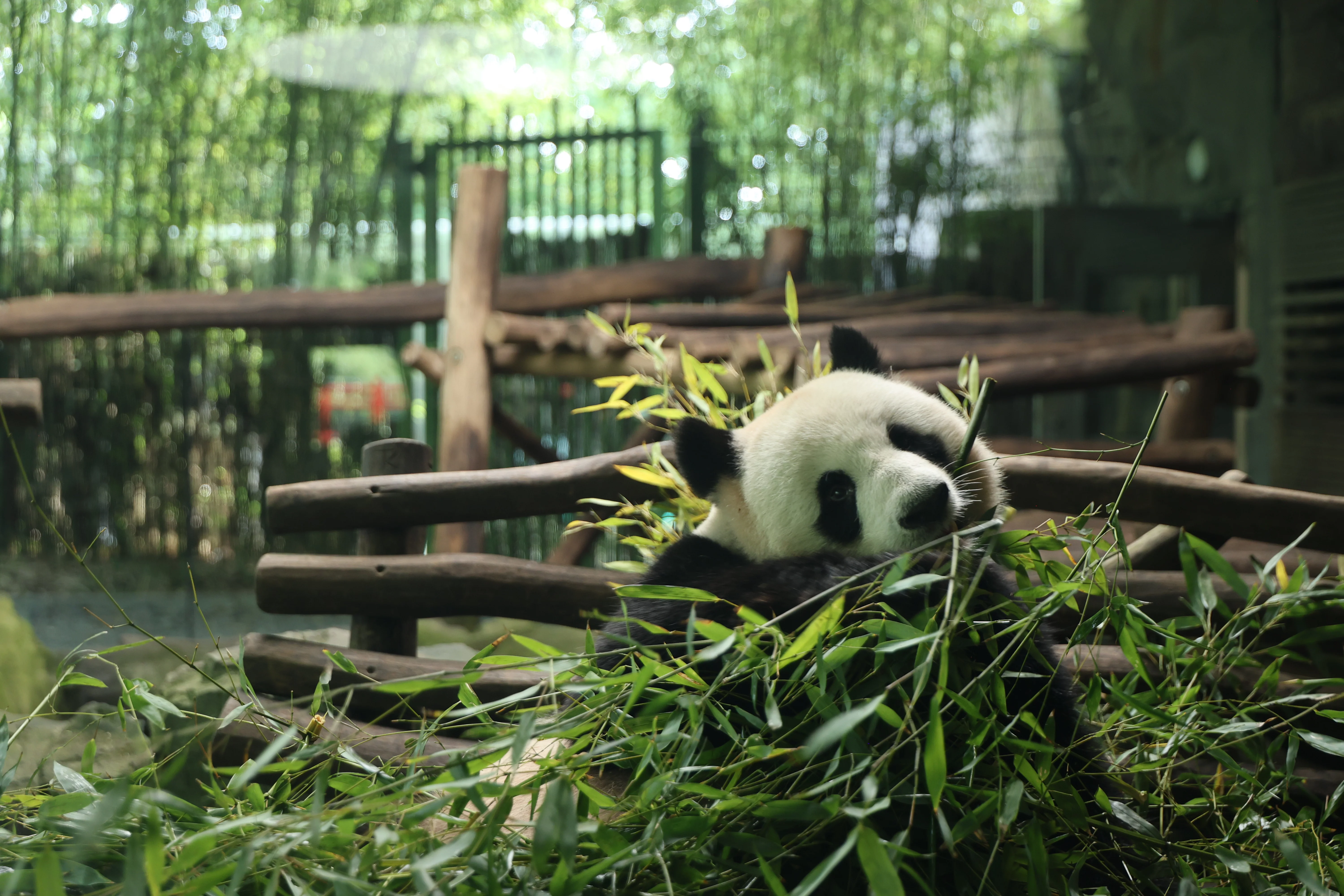 Zoo Berlin