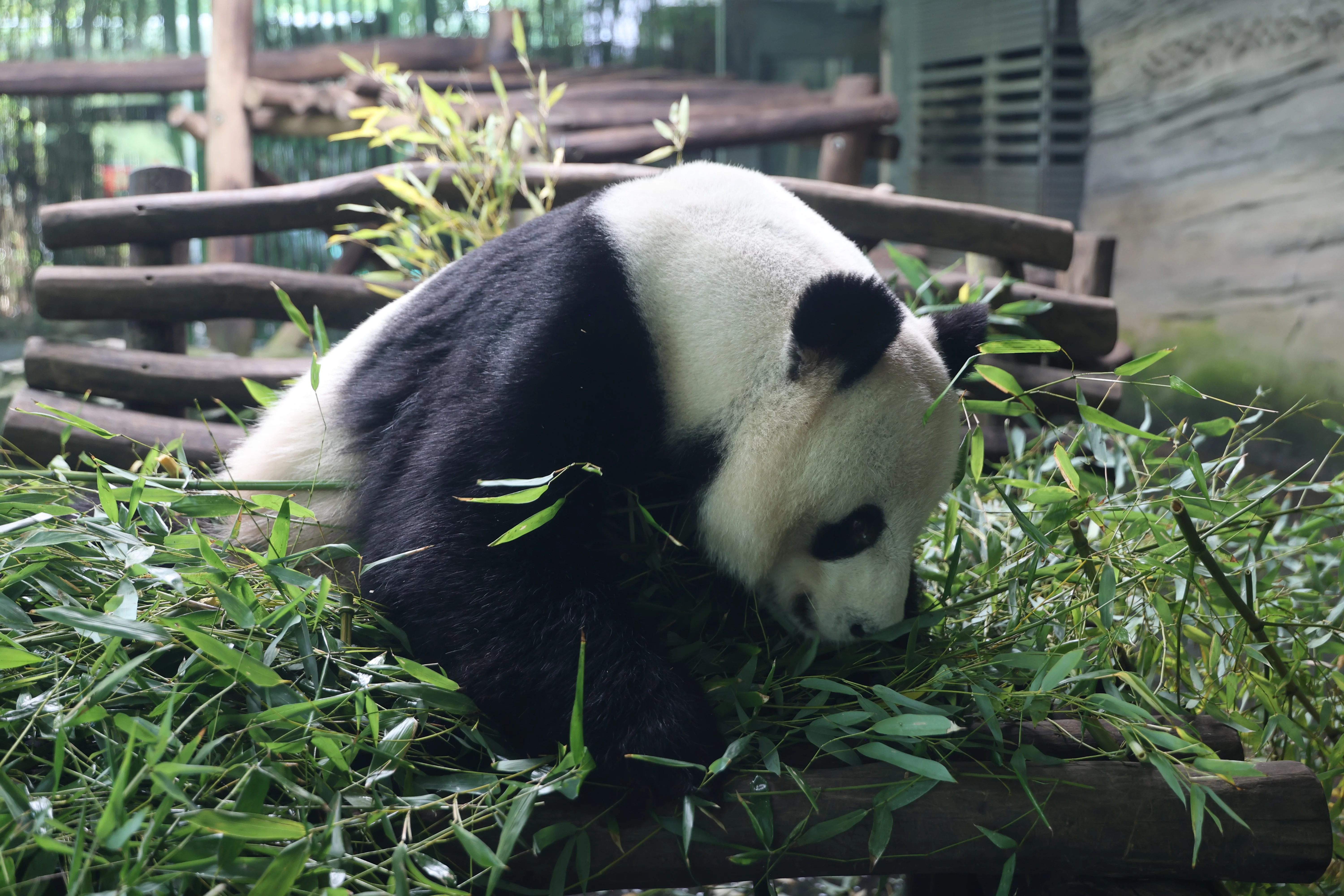 Zoo Berlin