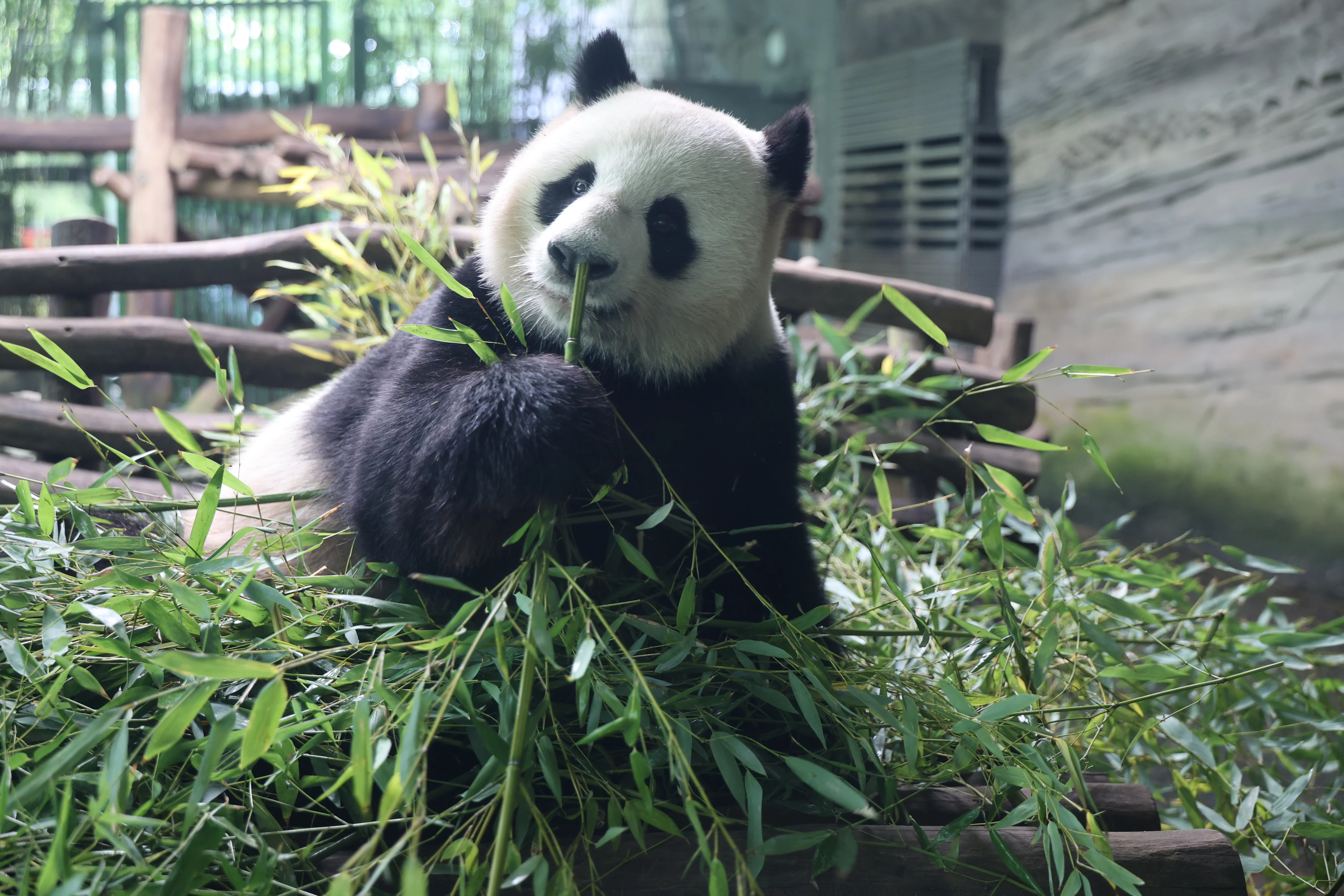 Zoo Berlin