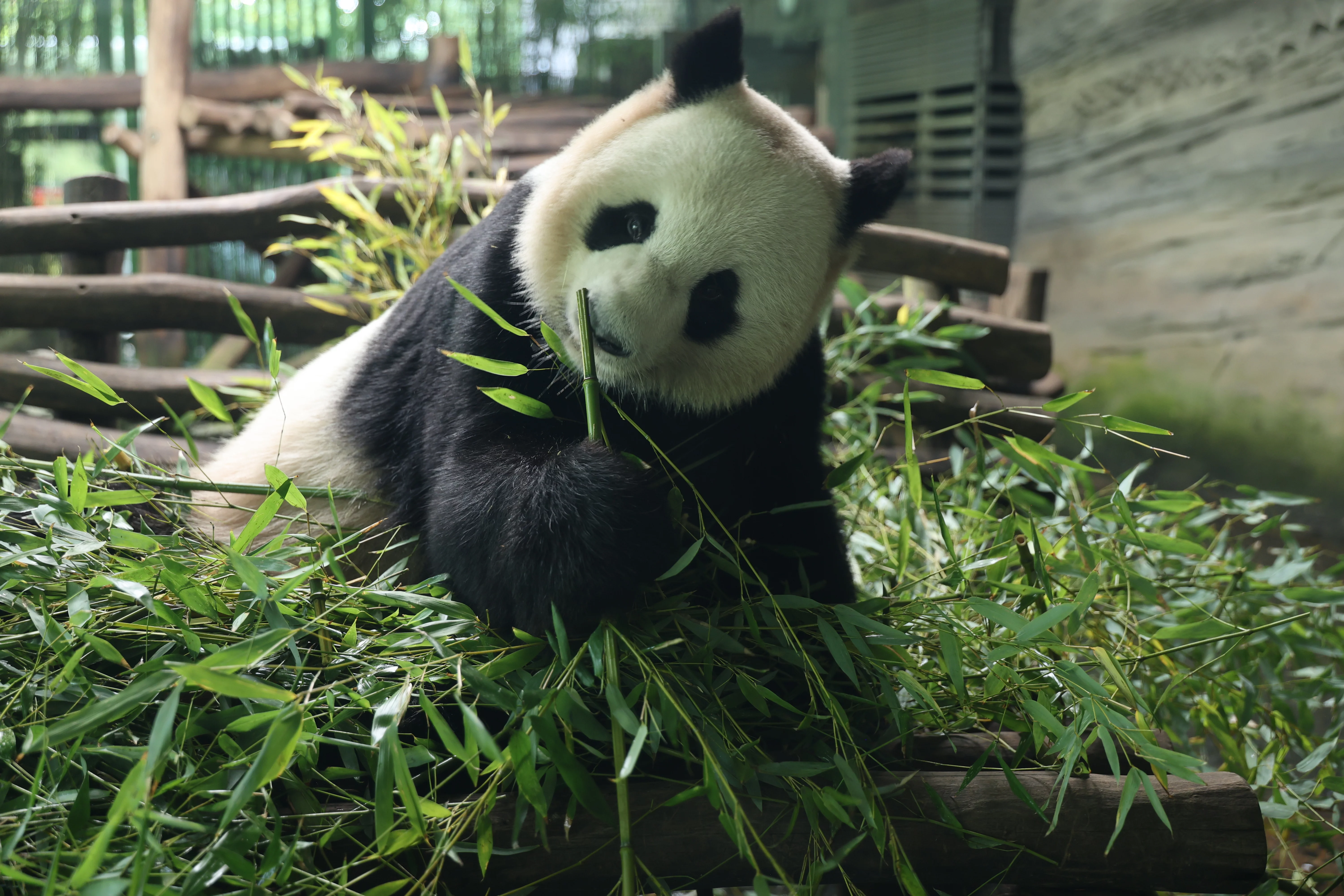 Zoo Berlin