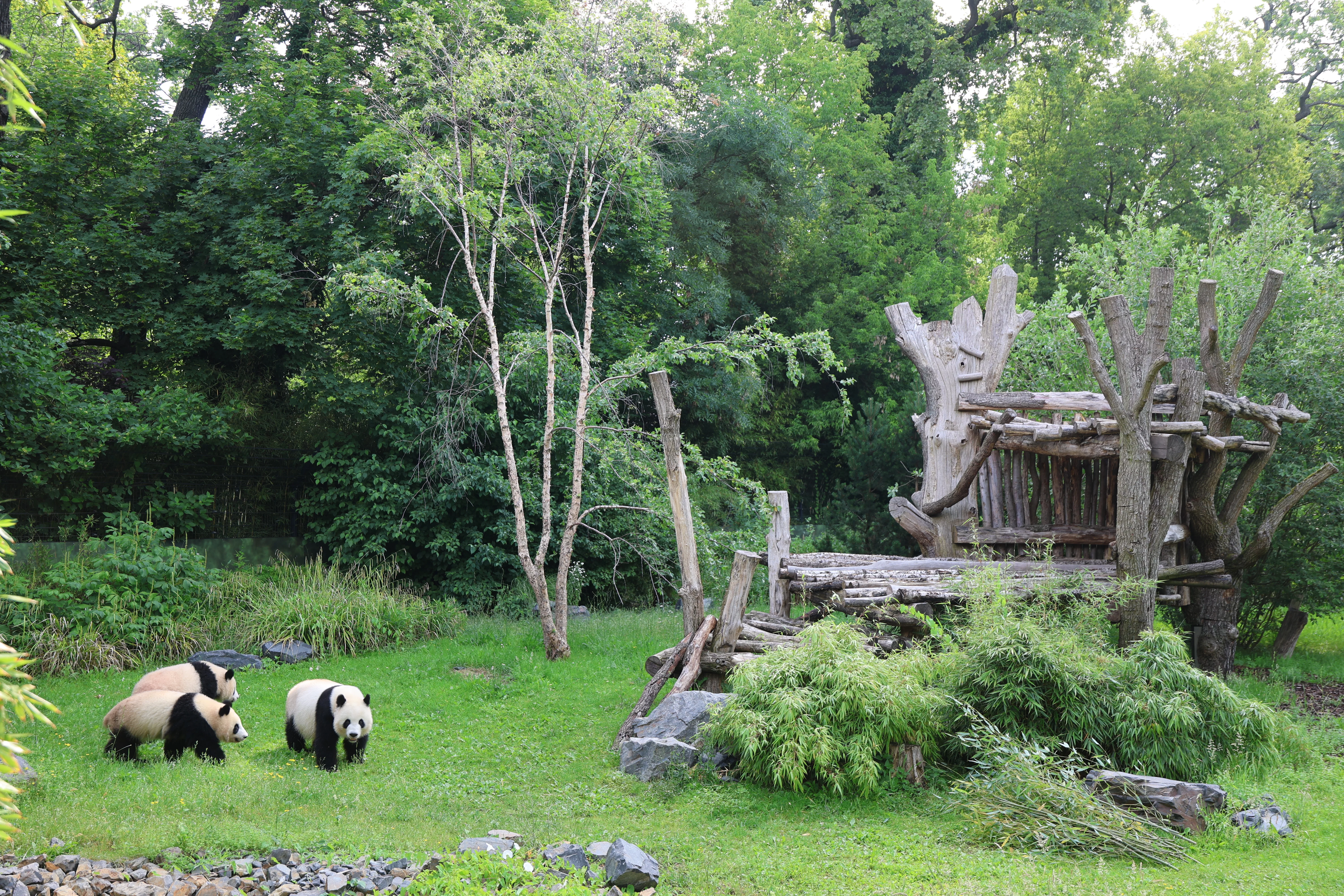 Zoo Berlin