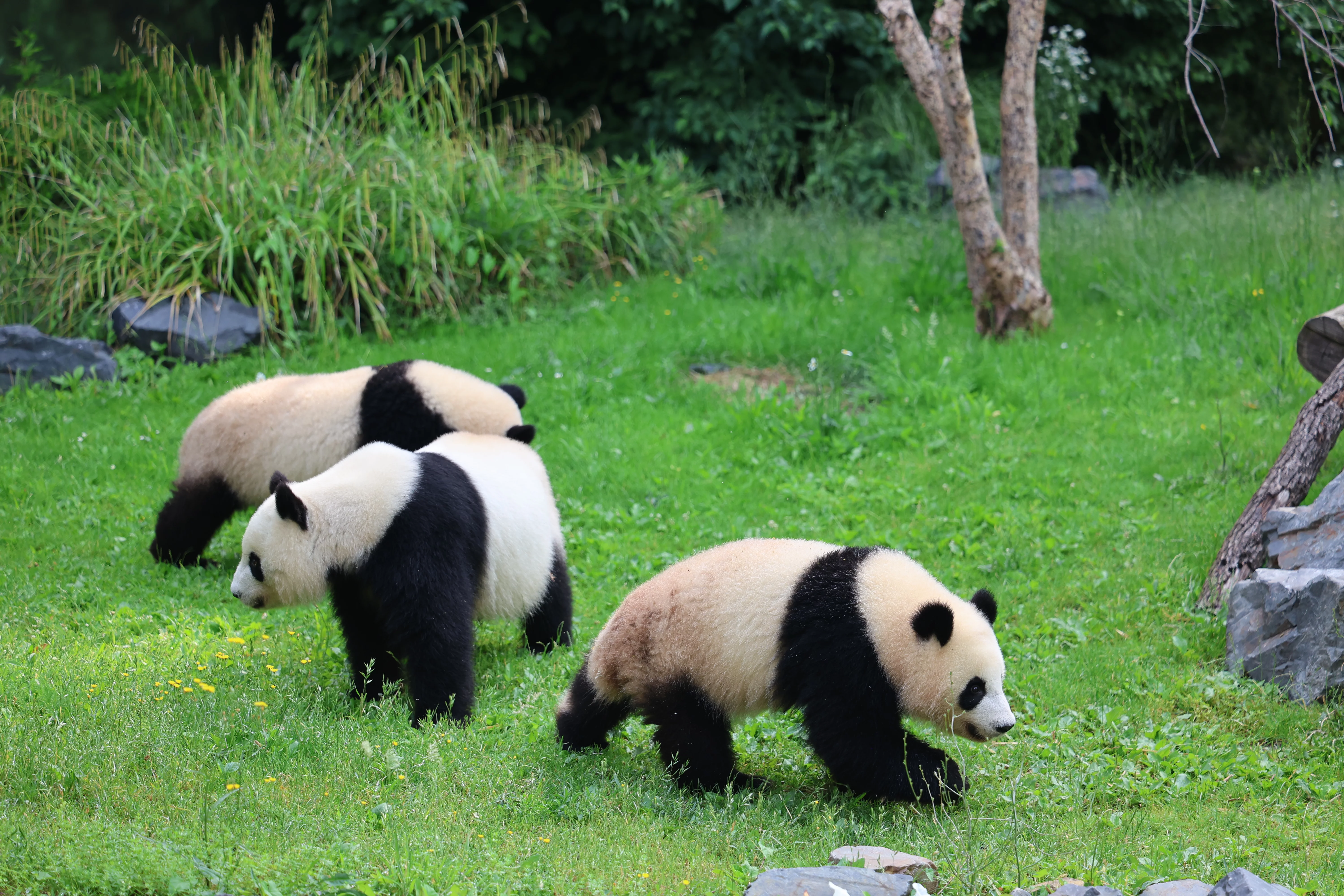 Zoo Berlin