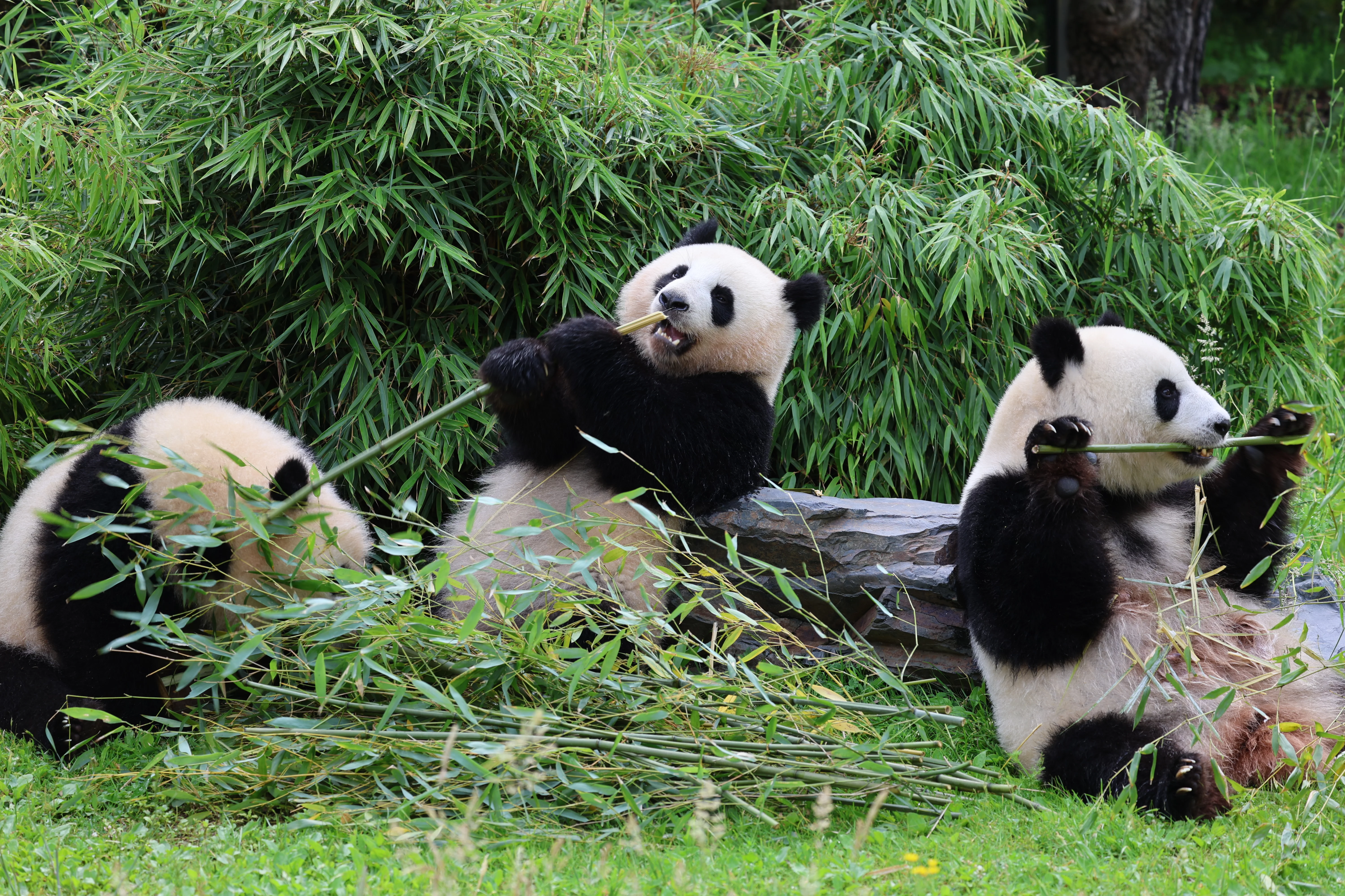 Zoo Berlin