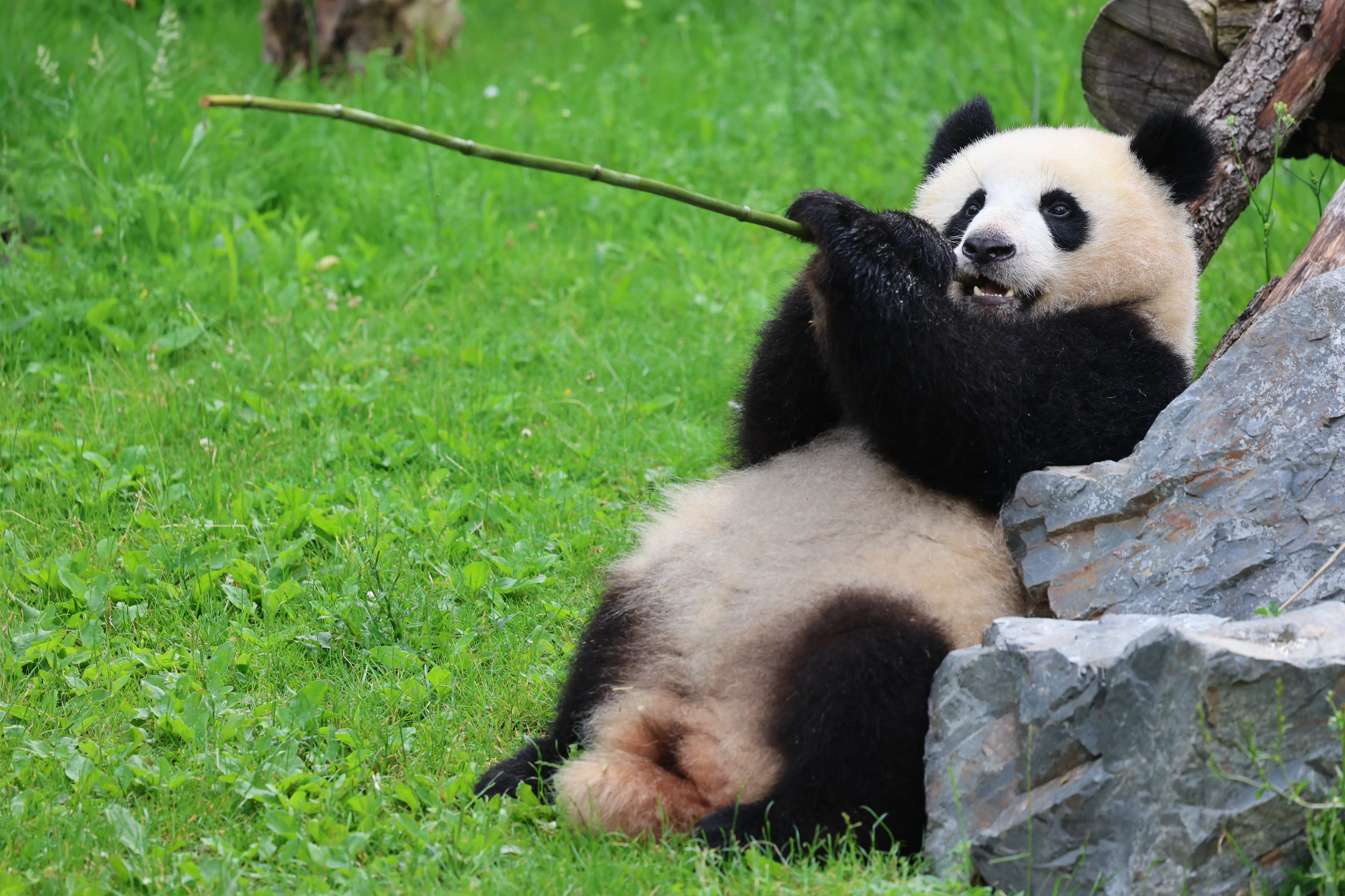 Zoo Berlin