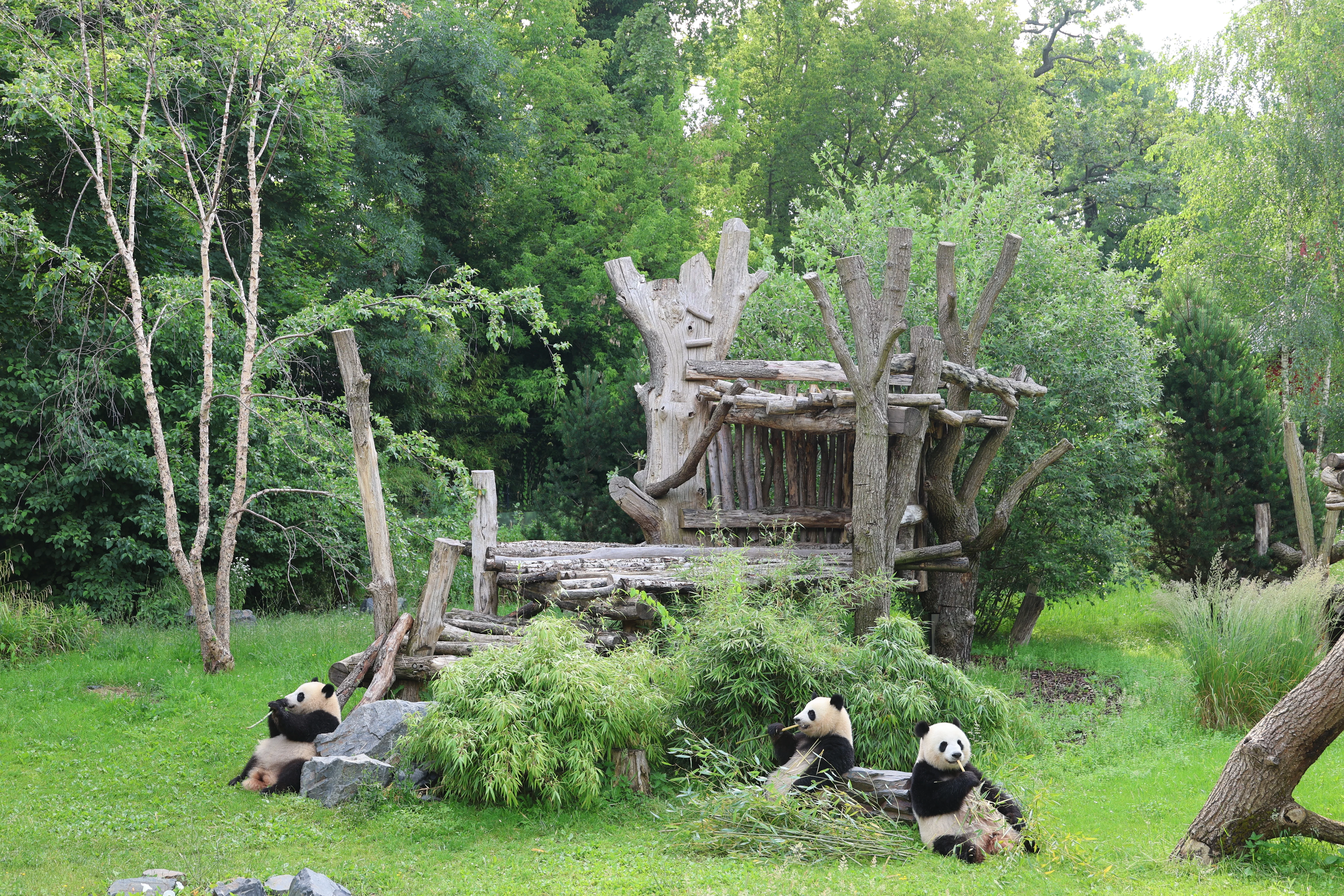 Zoo Berlin