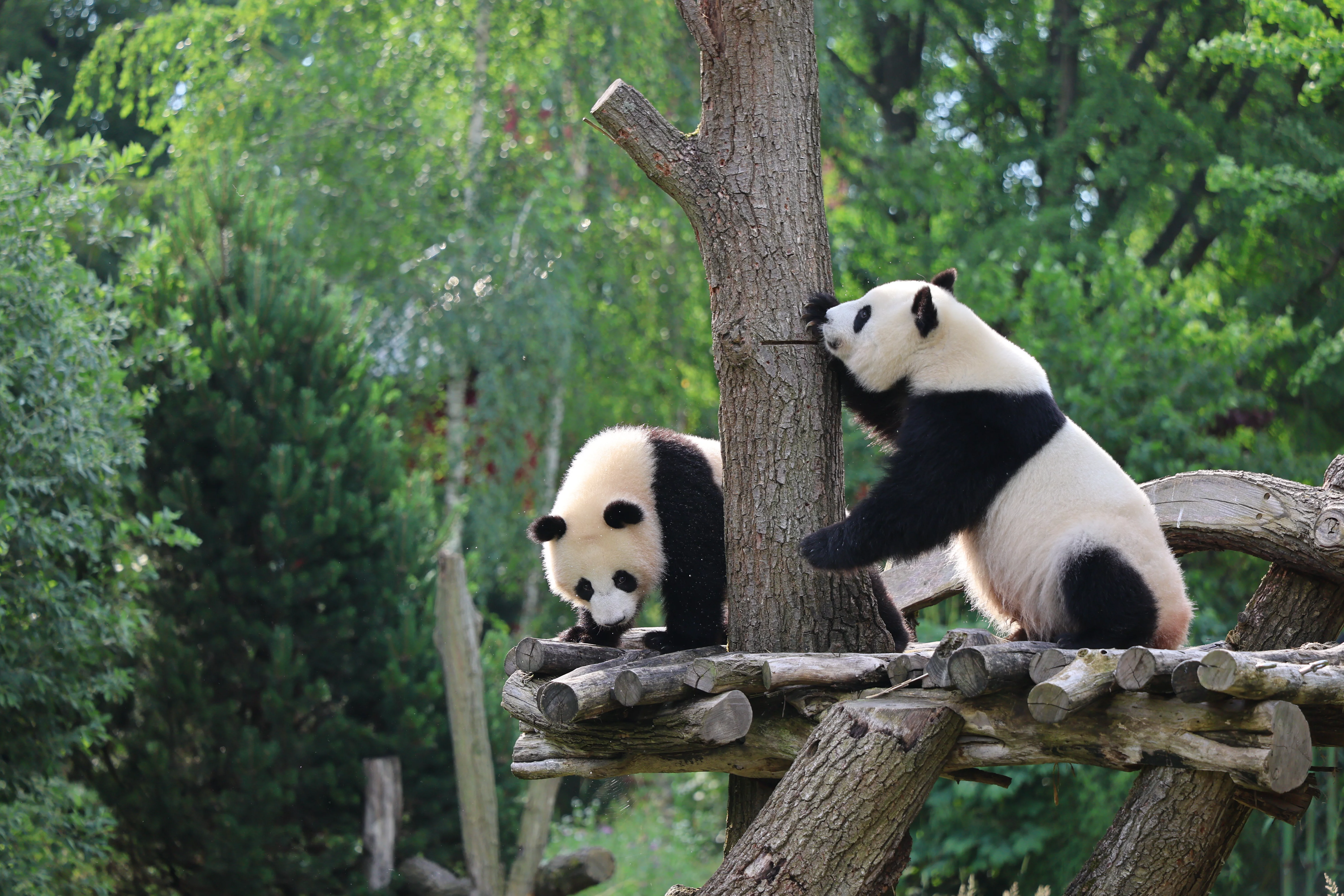 Zoo Berlin