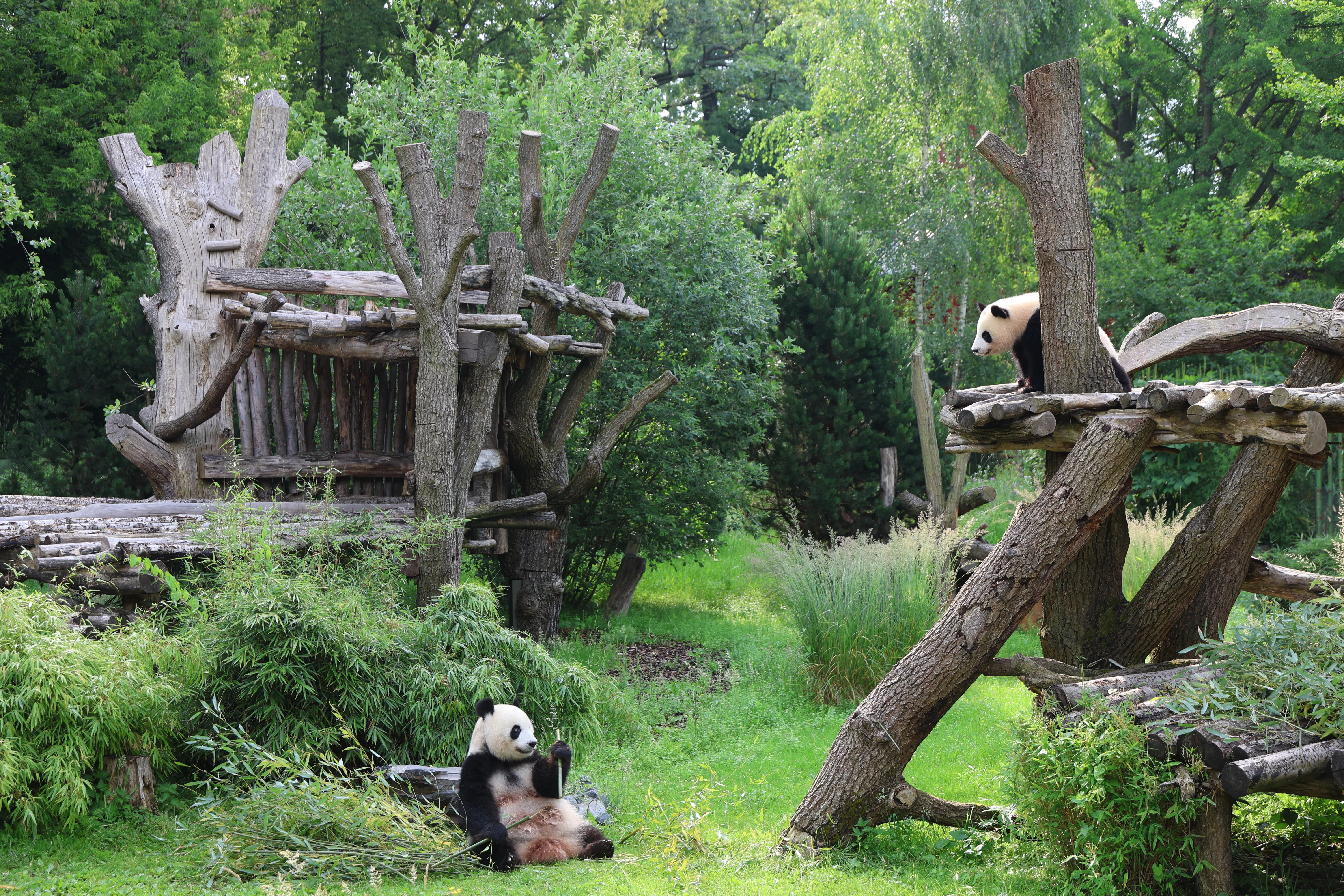 Zoo Berlin