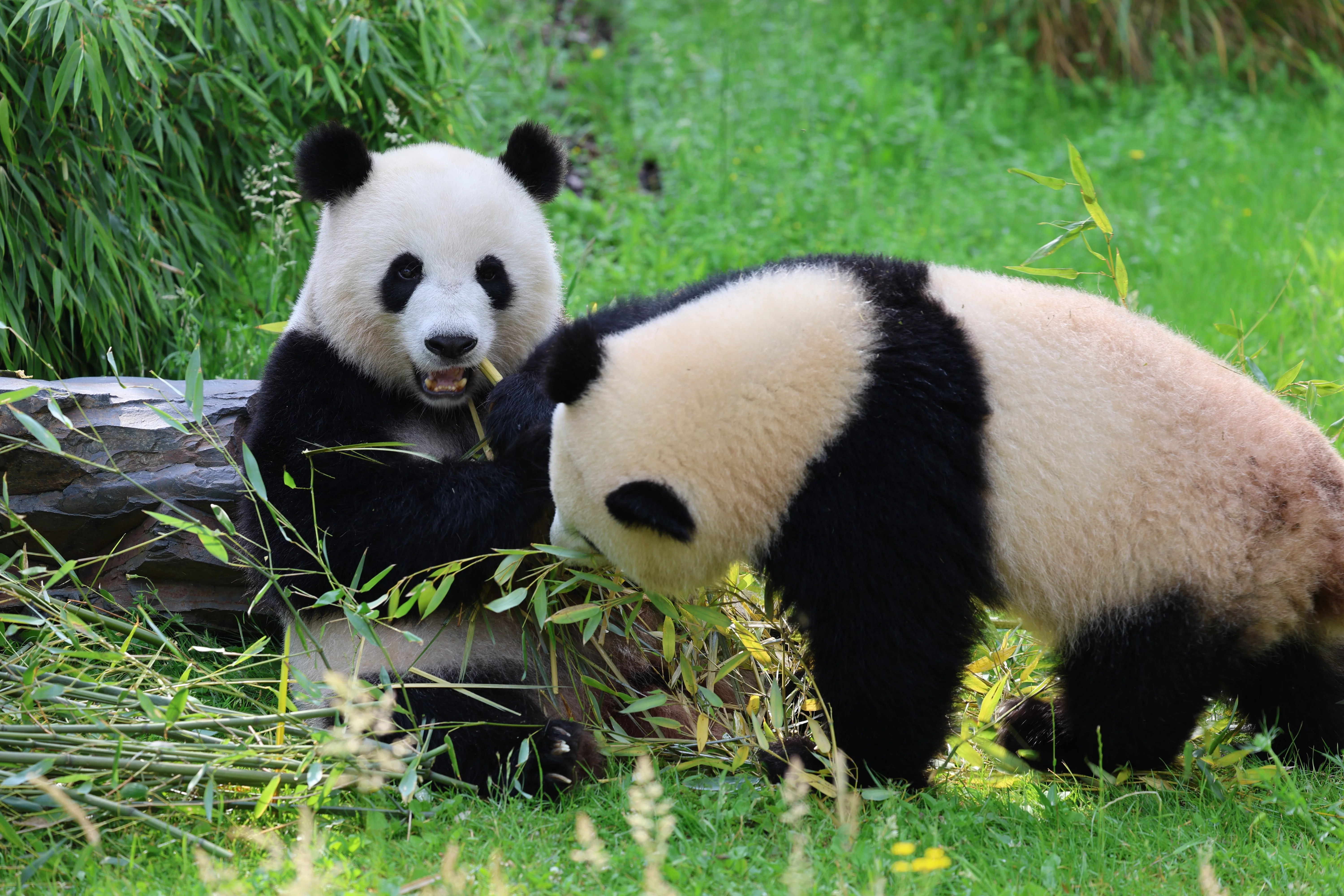 Zoo Berlin