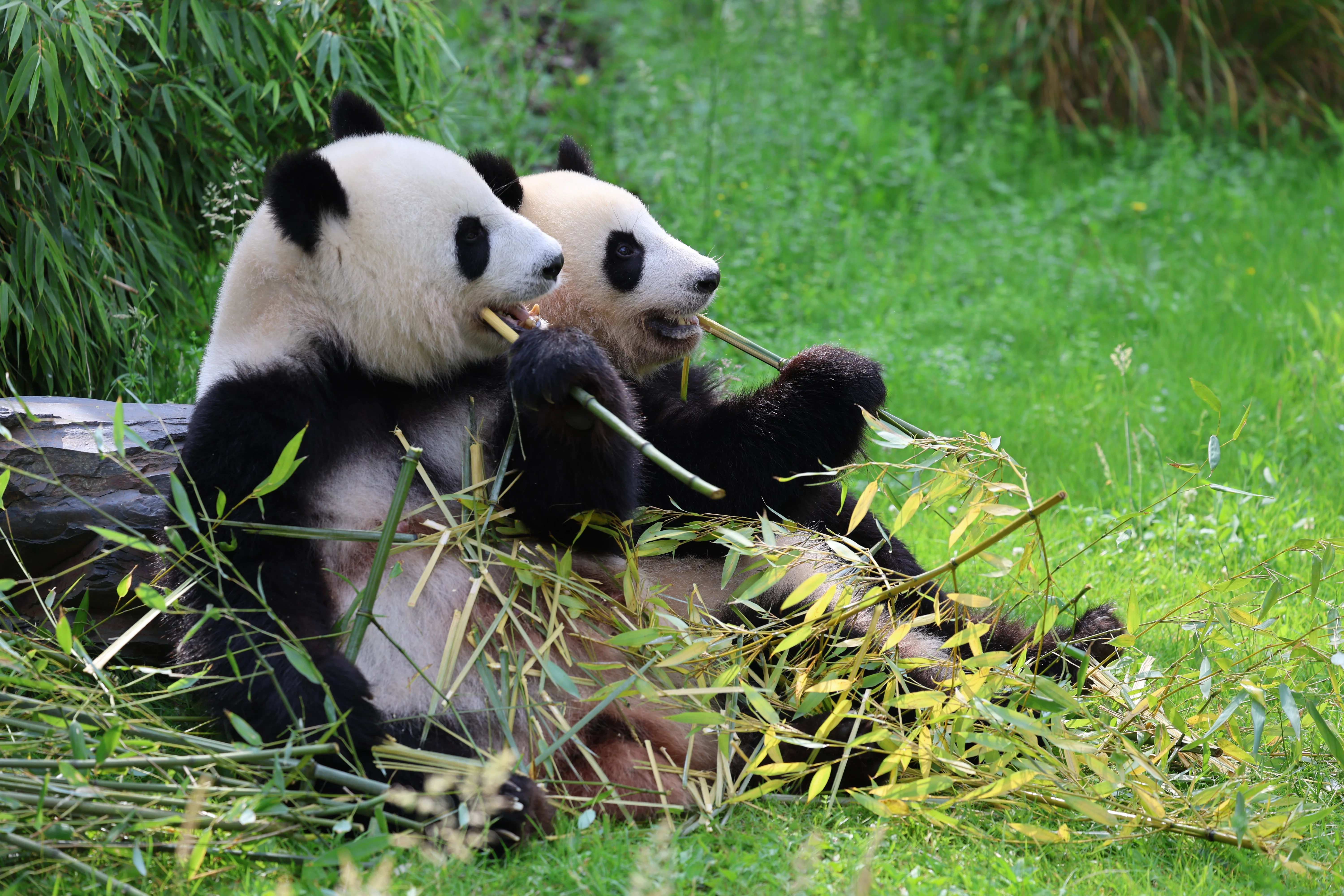 Zoo Berlin