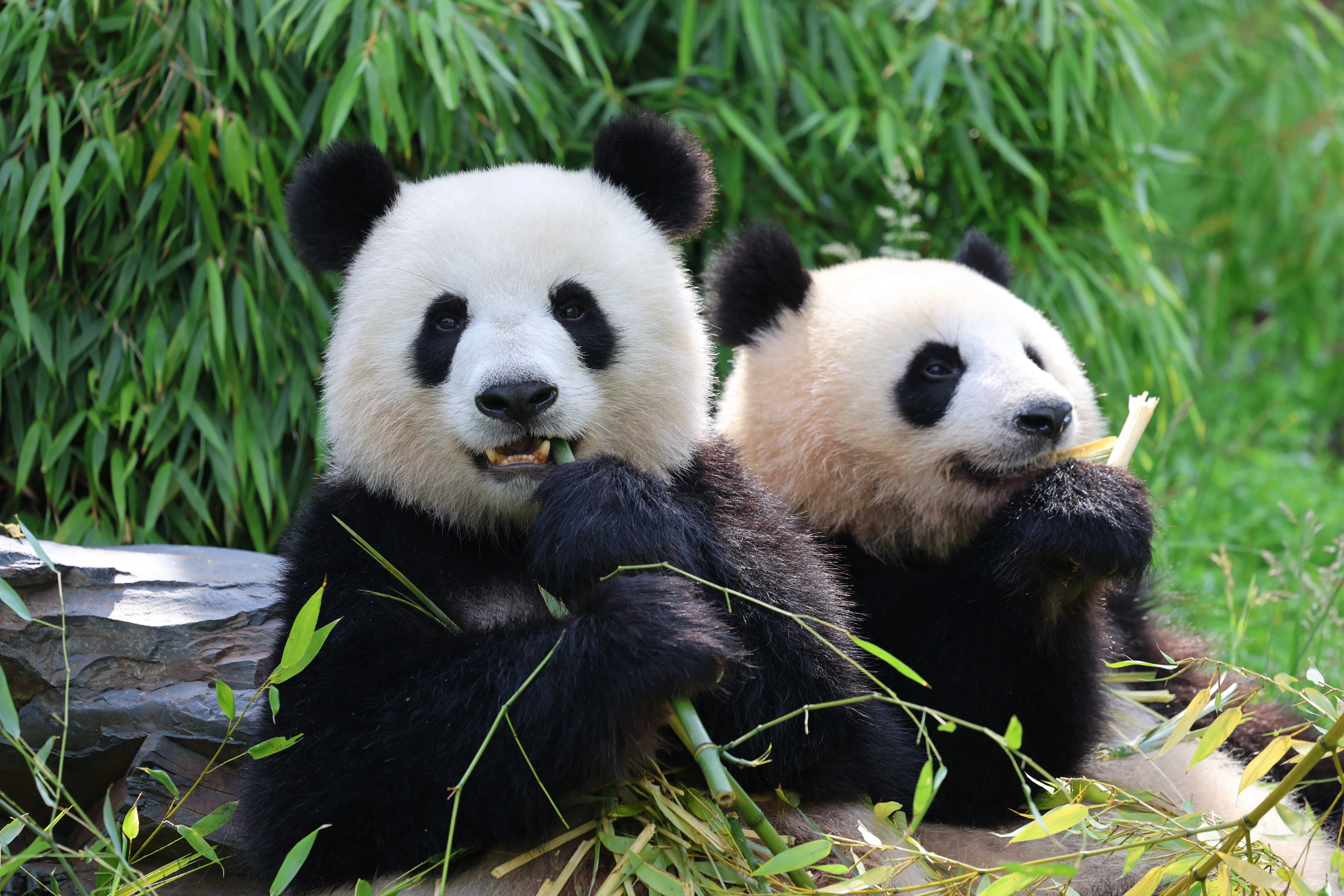 Zoo Berlin