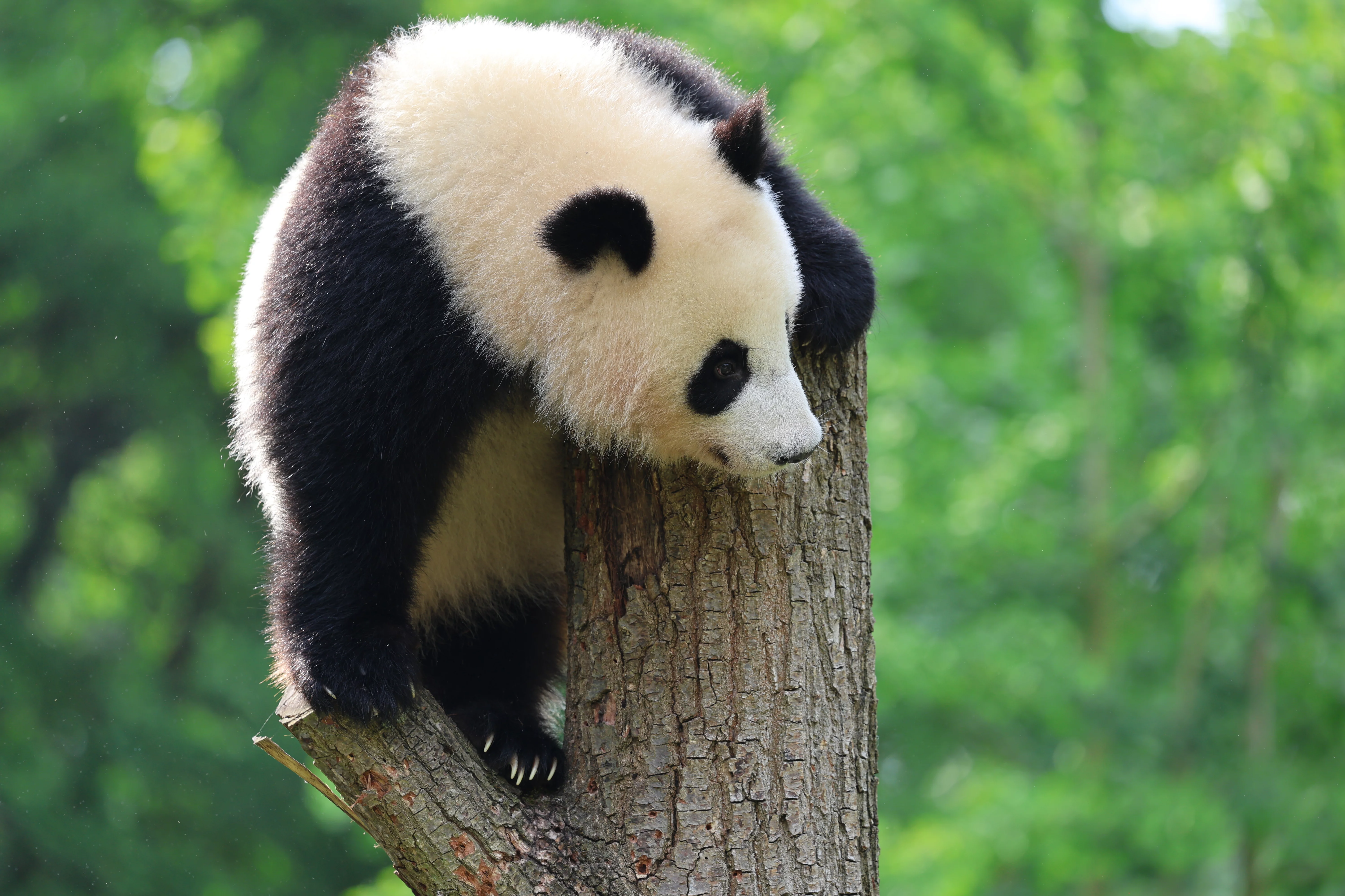 Zoo Berlin