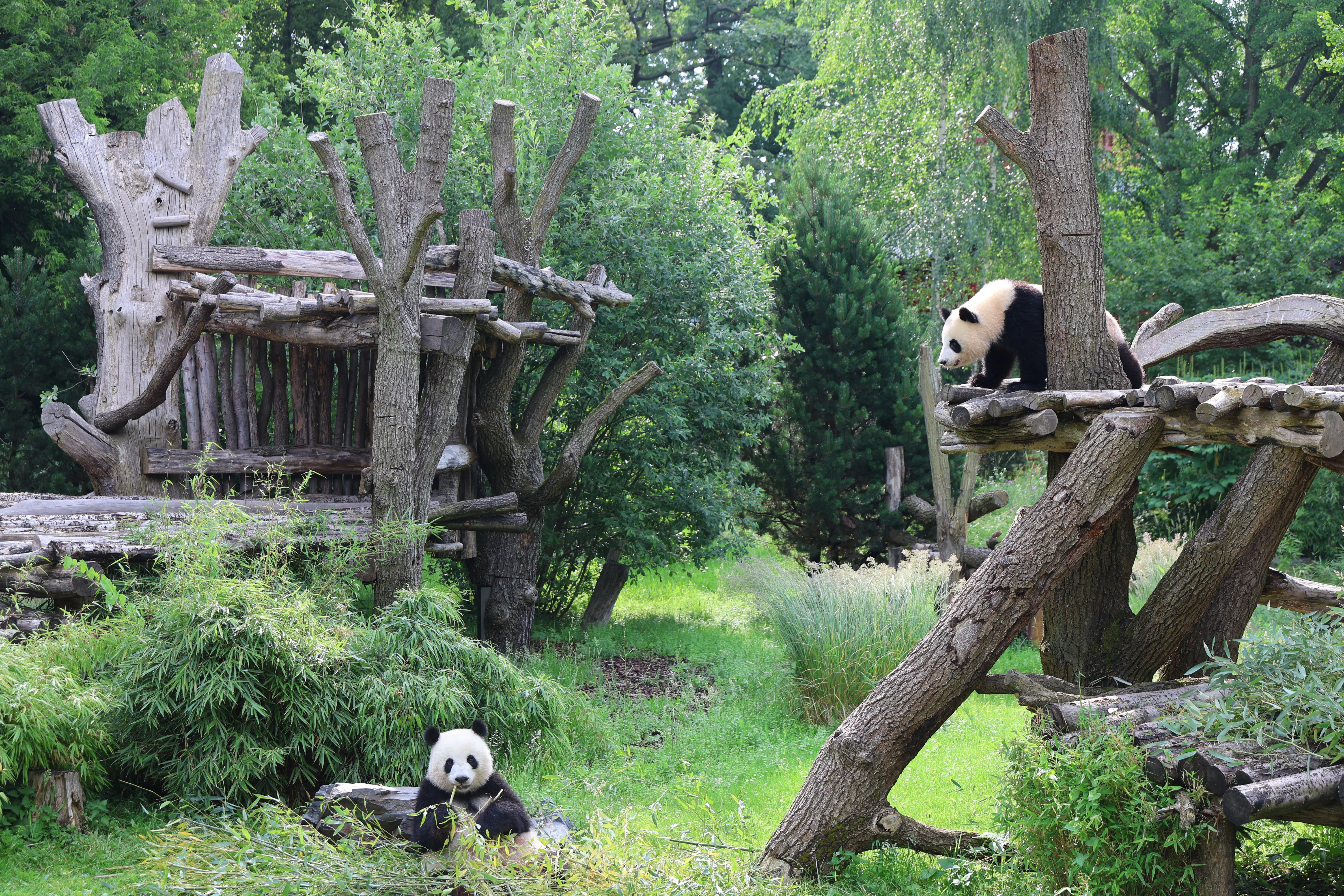 Zoo Berlin