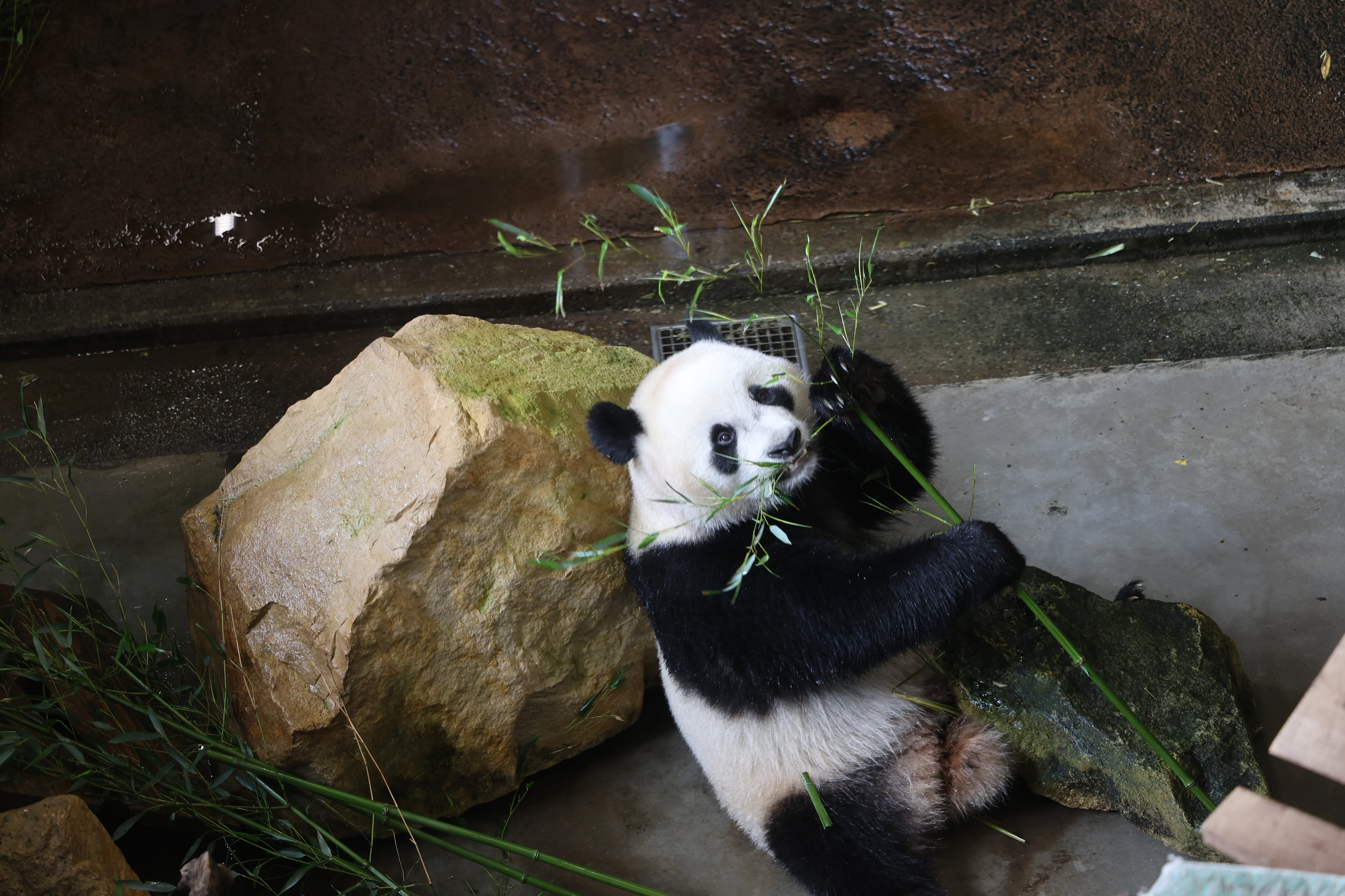 Ouwehands Dierenpark Rhenen