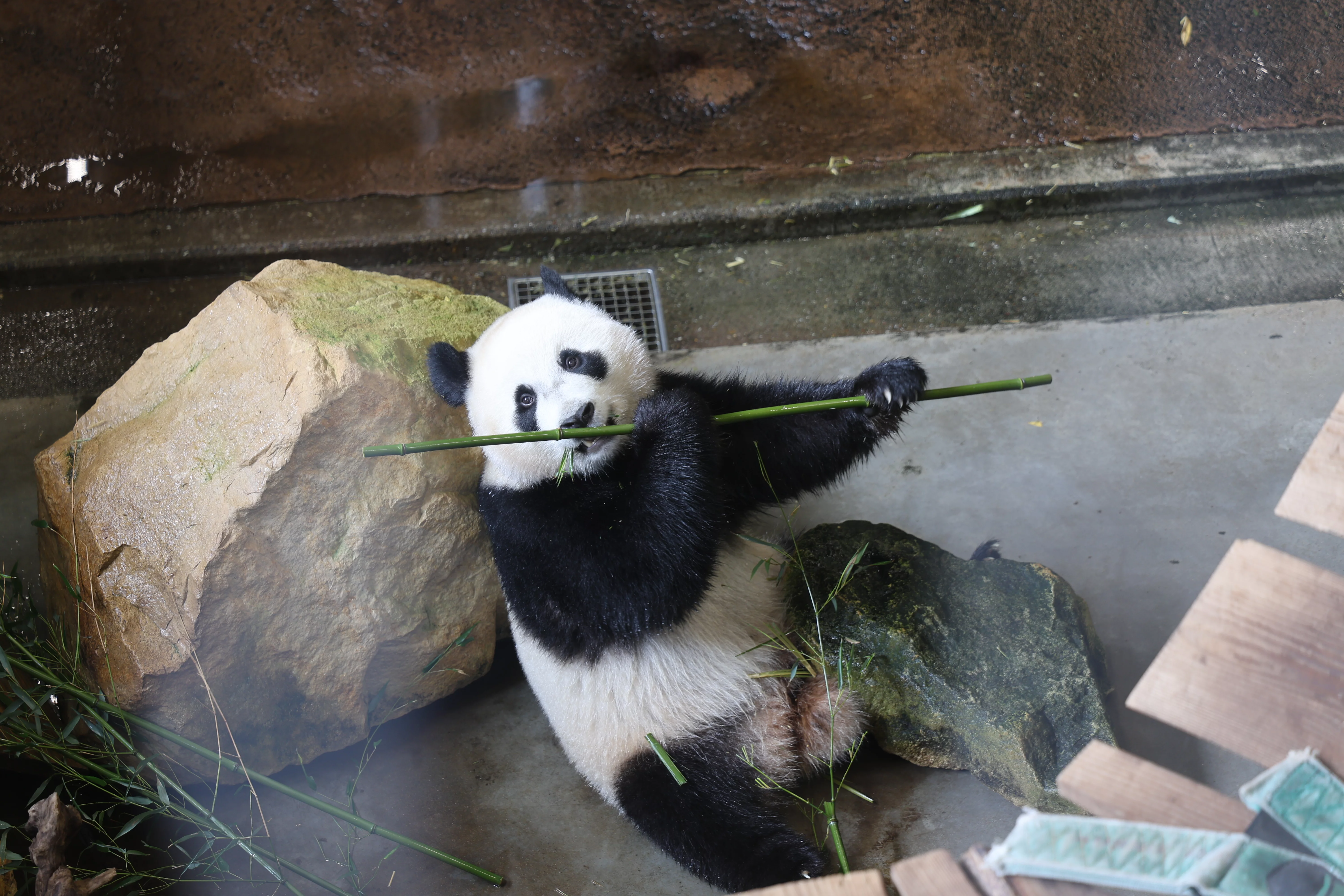 Ouwehands Dierenpark Rhenen