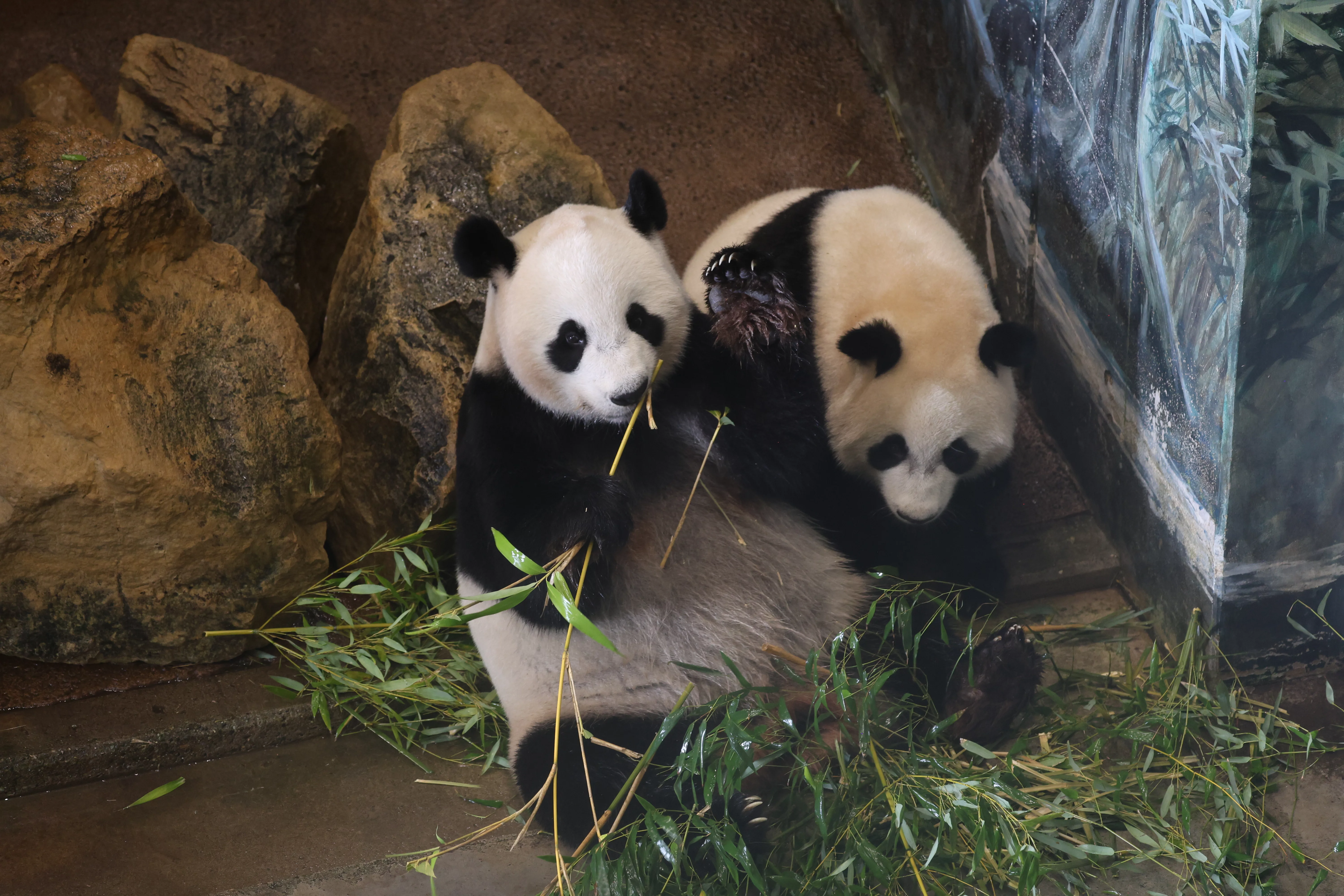 Ouwehands Dierenpark Rhenen