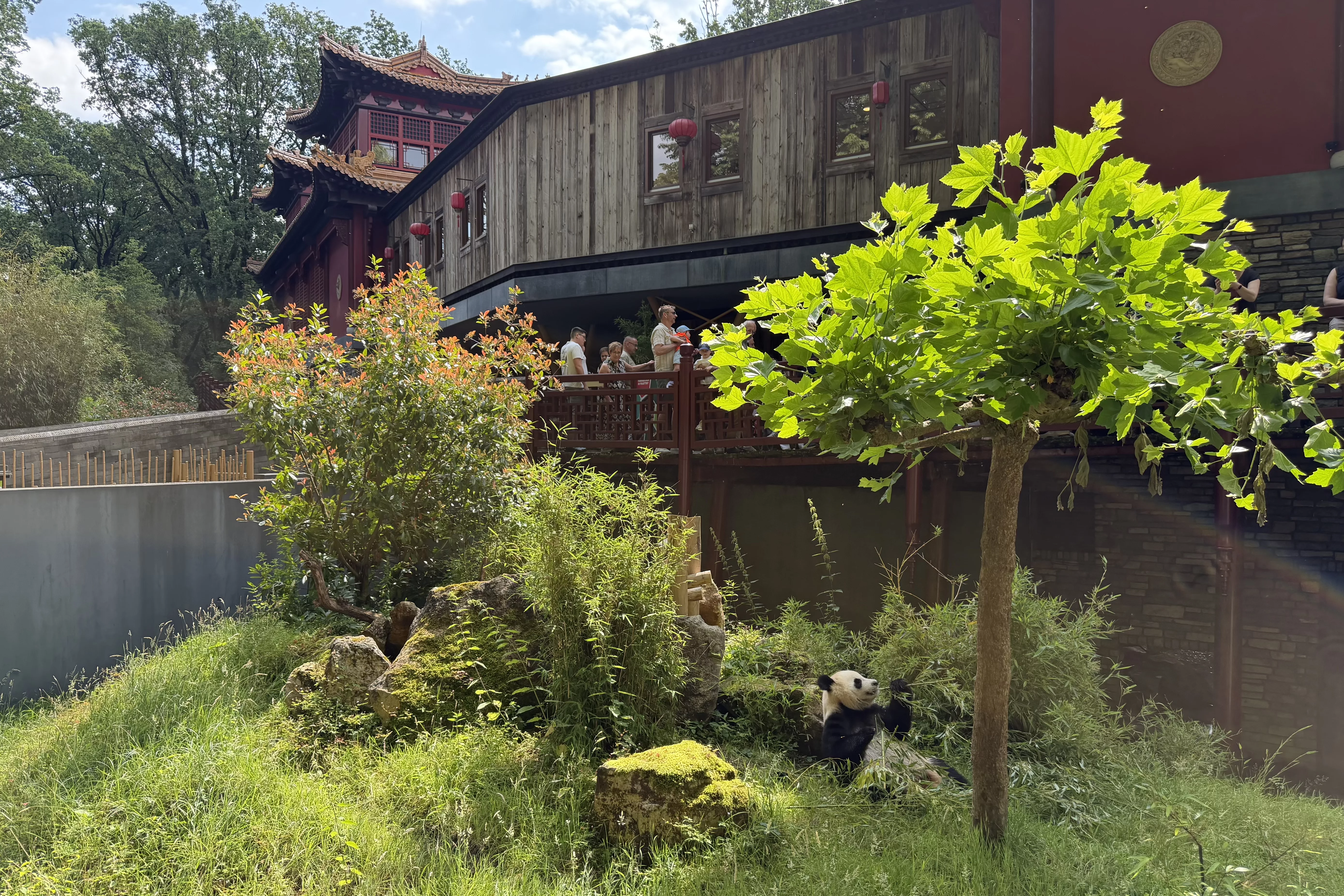 Ouwehands Dierenpark Rhenen