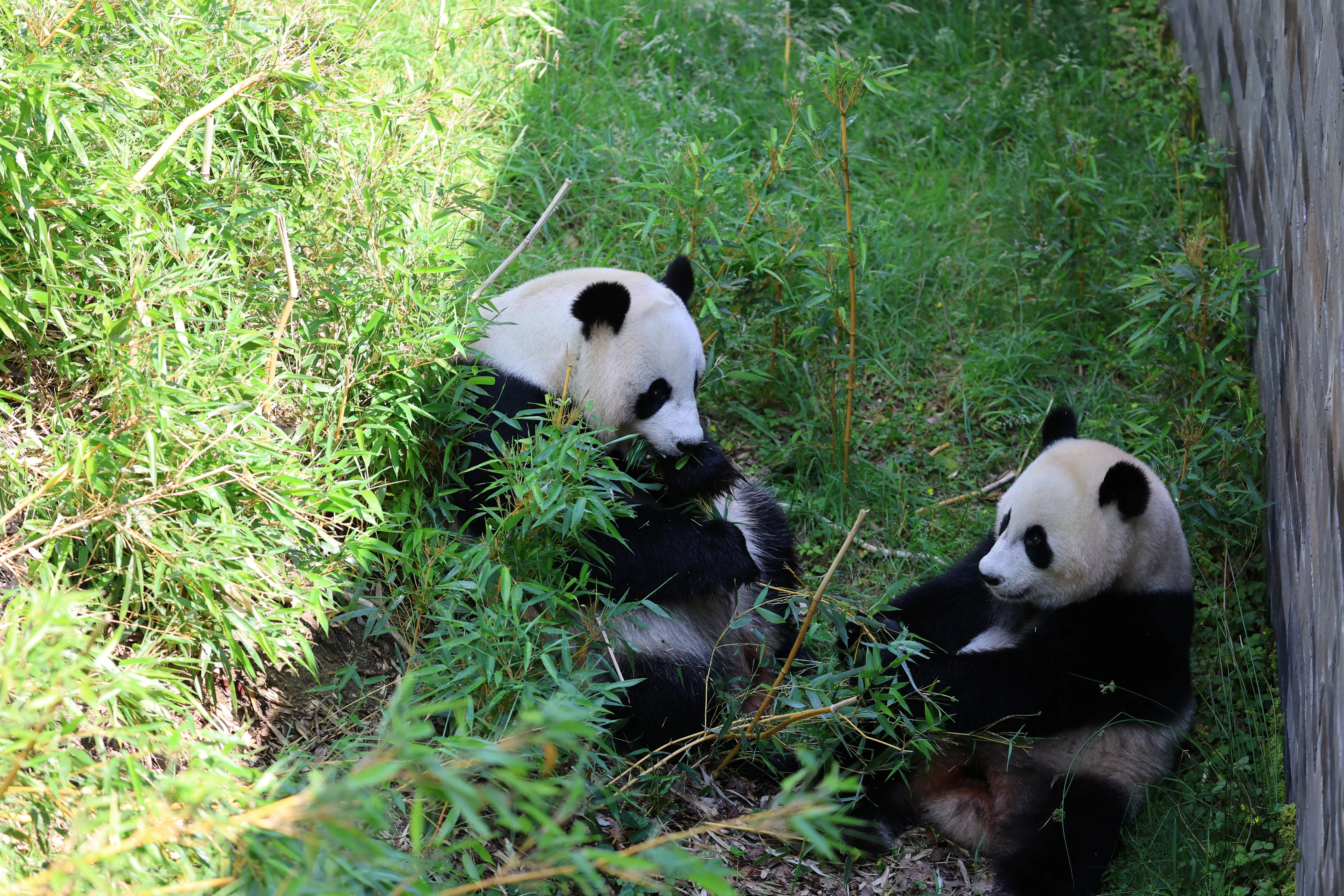 Ouwehands Dierenpark Rhenen