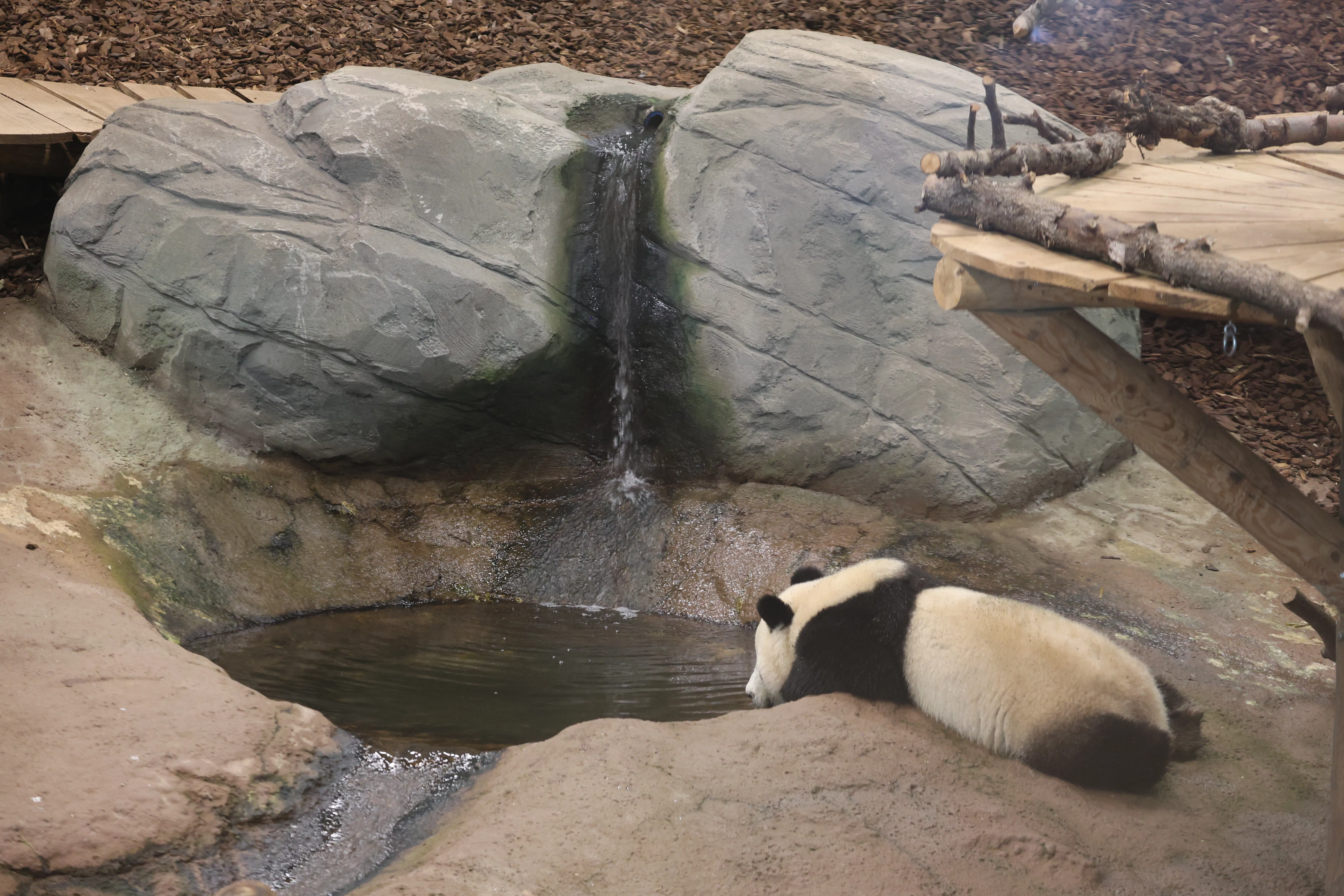 Ouwehands Dierenpark Rhenen