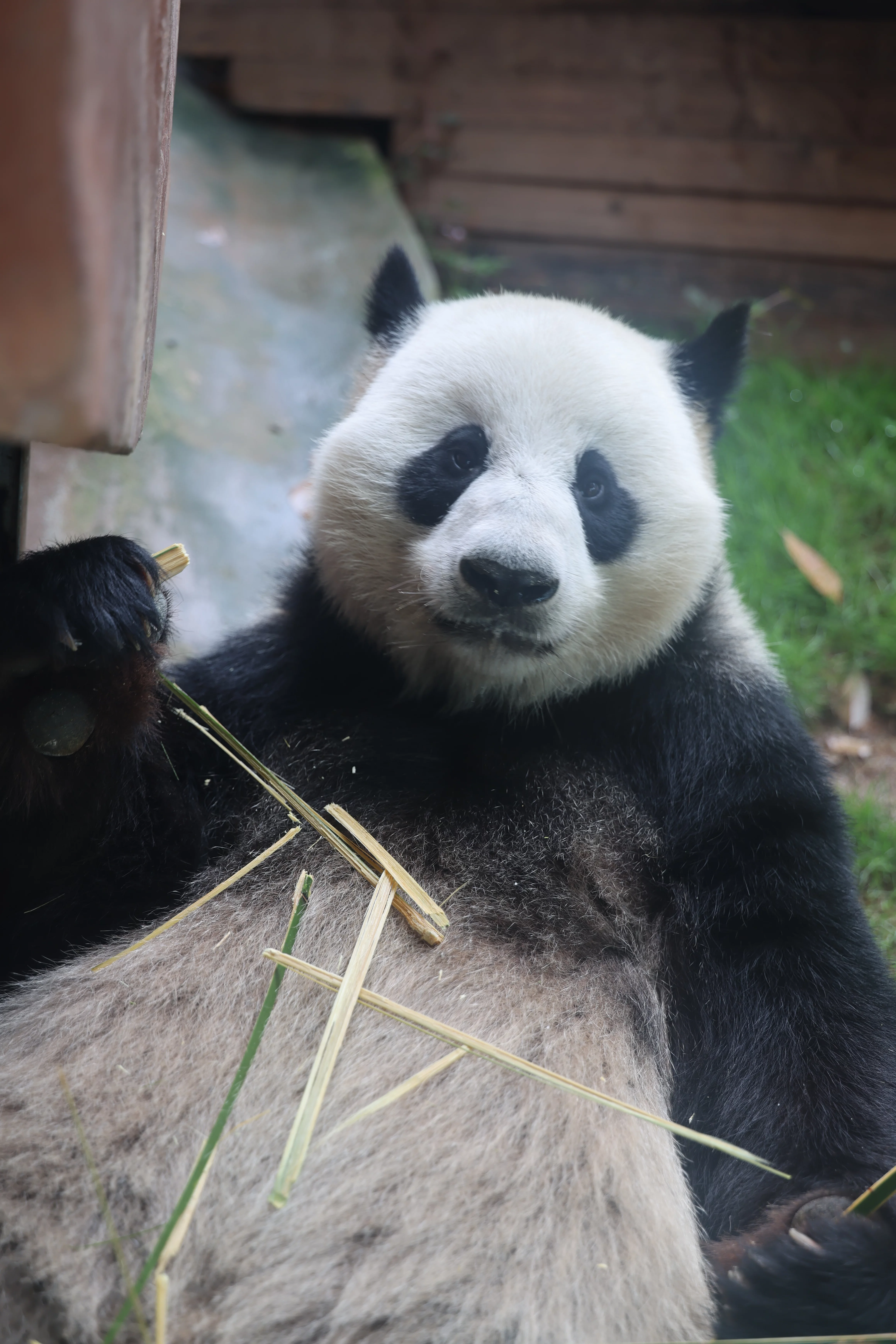 Locajoy