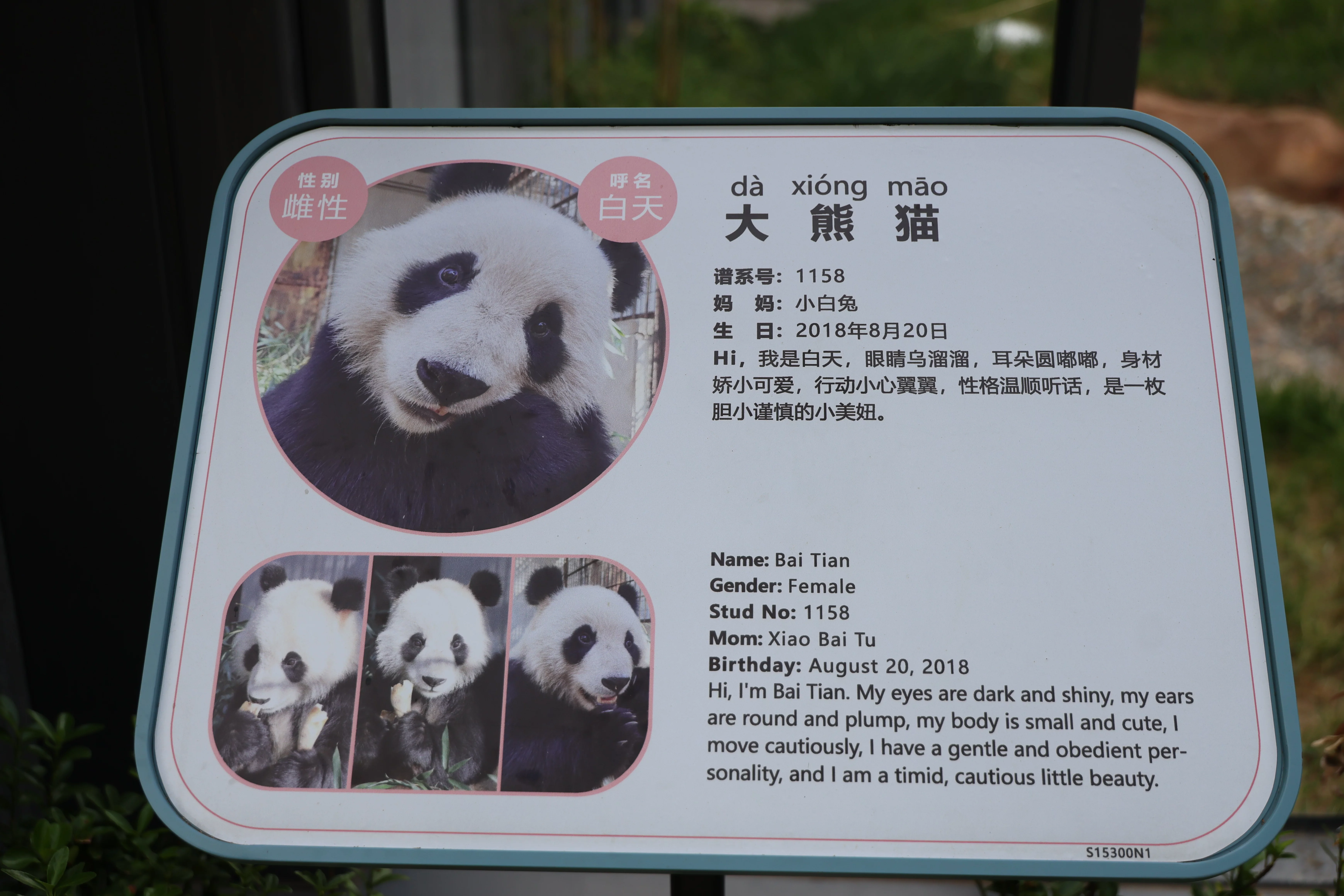 Beijing Zoo