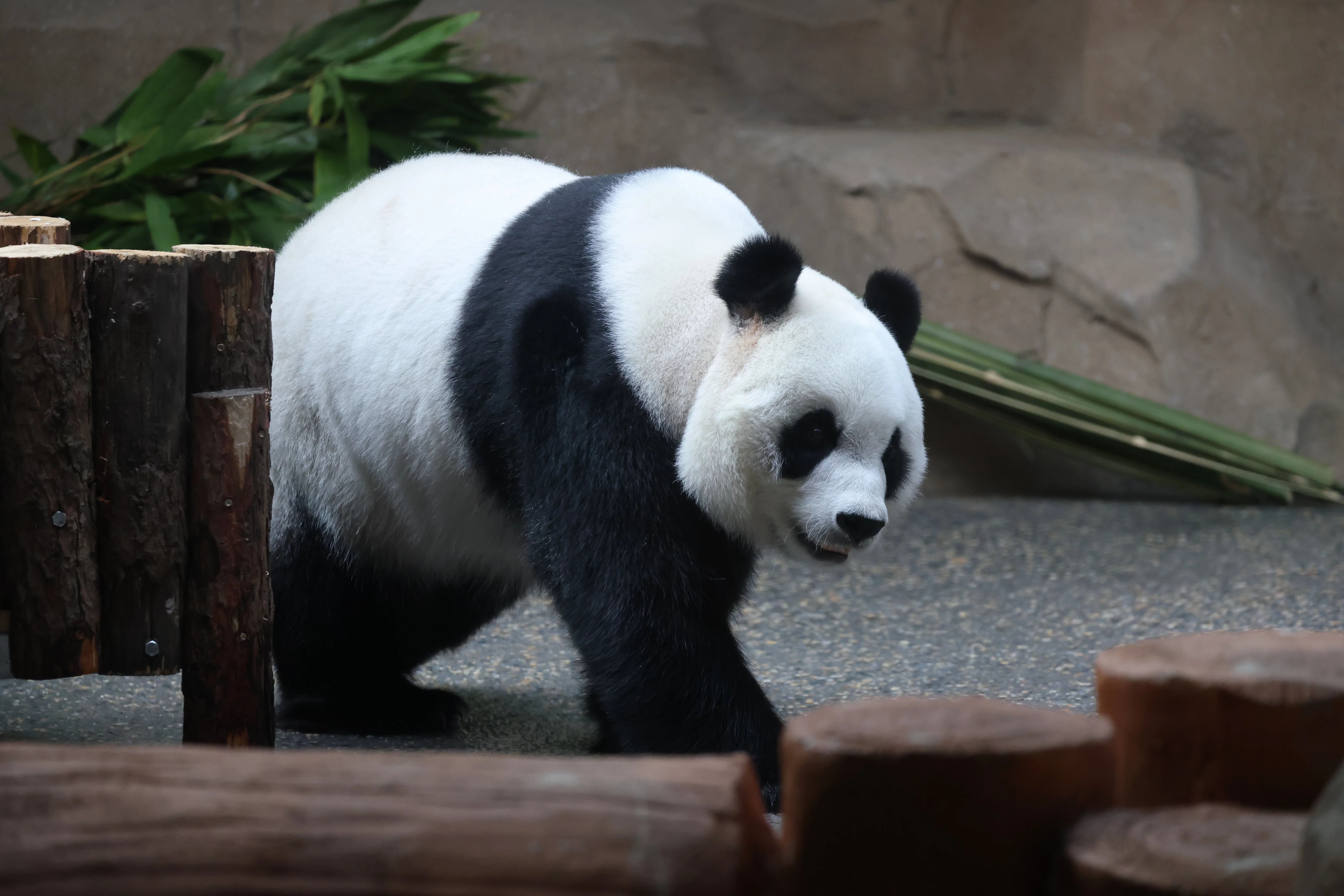 Beijing Zoo