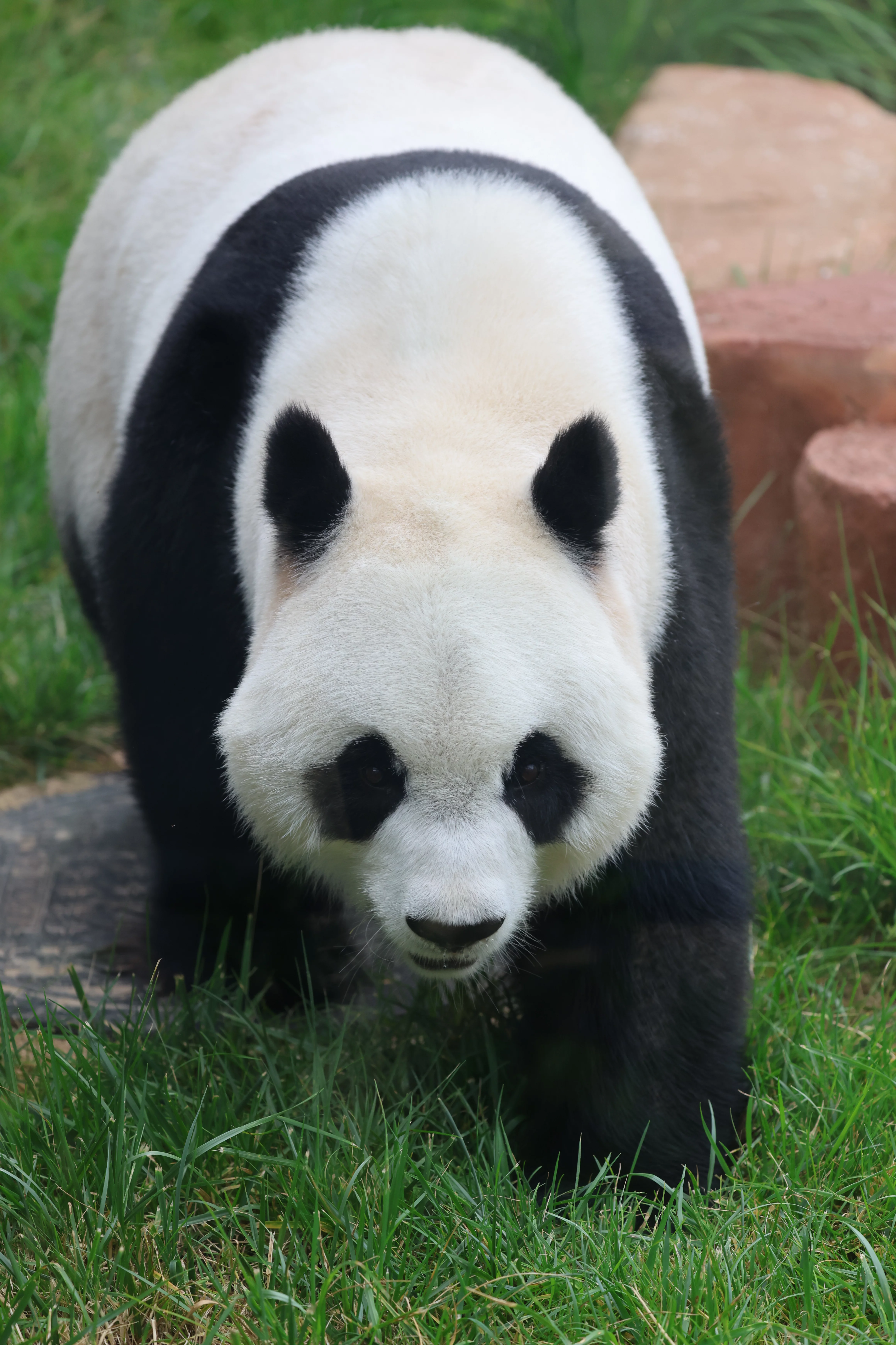 Beijing Zoo