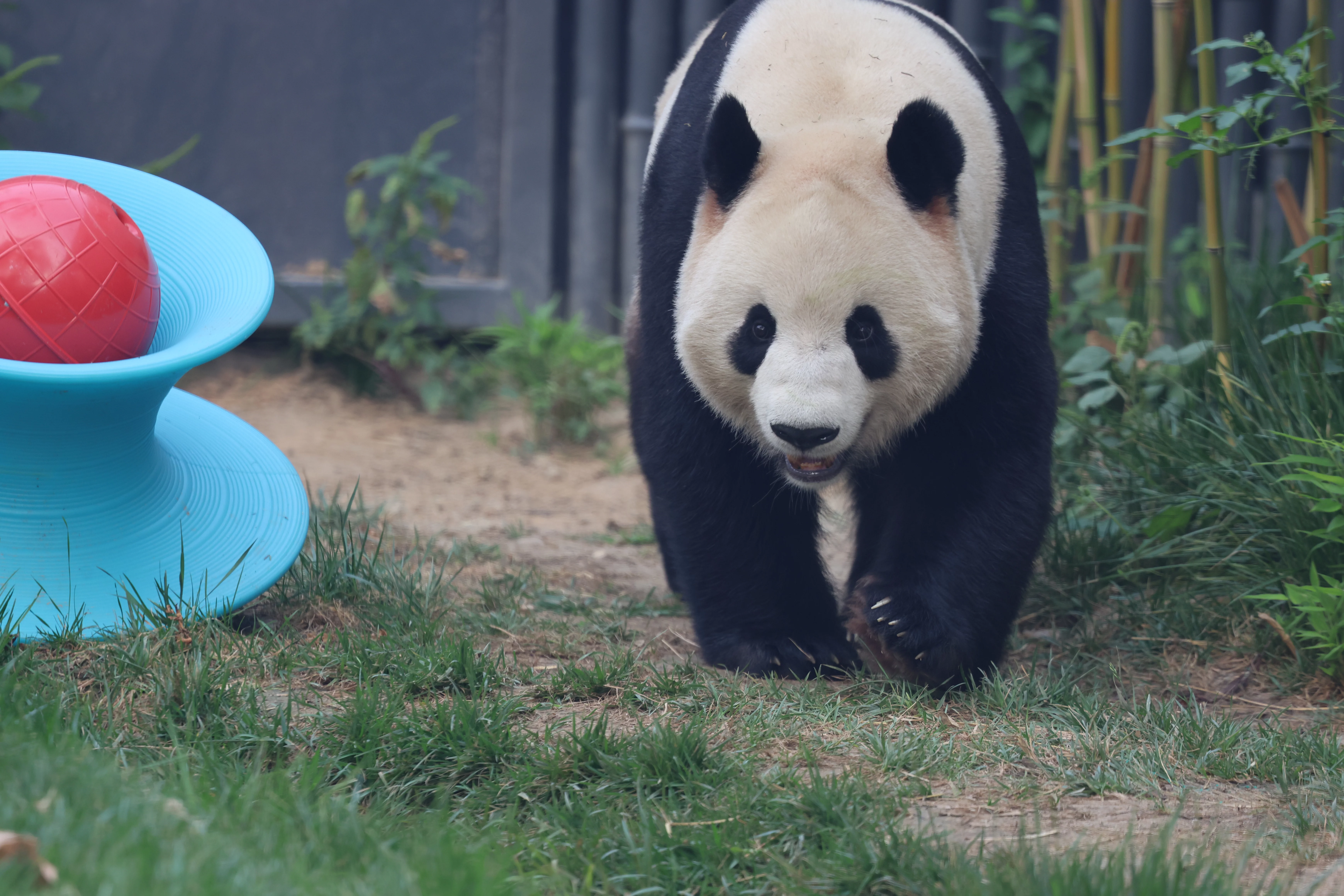 Beijing Zoo
